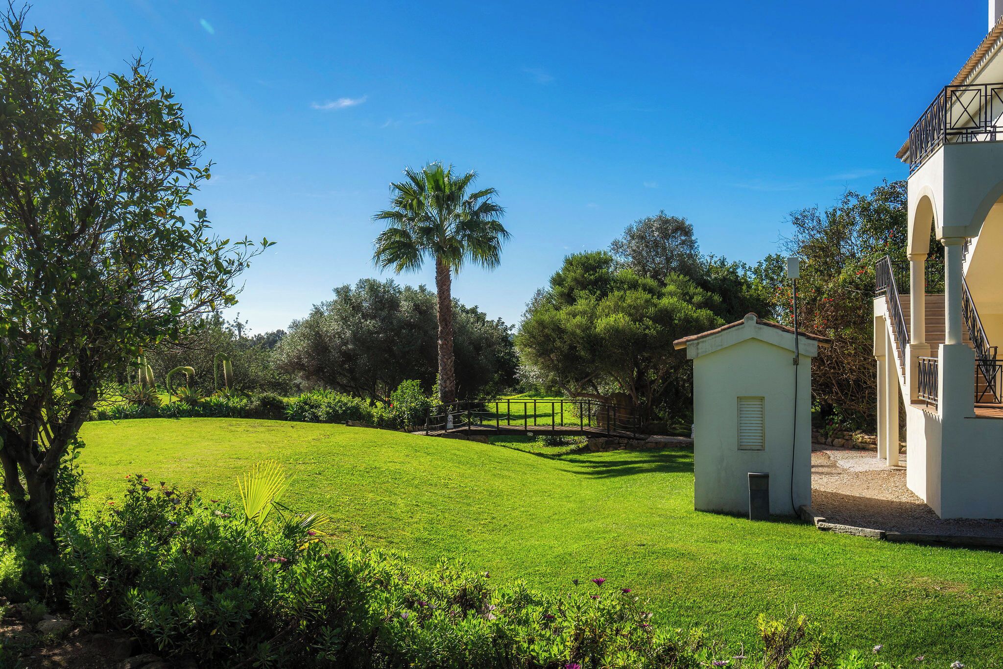 A well-maintained lawn with a small building, a palm tree, and a clear blue sky.