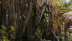 A pathway through a dense garden with various plants and trees. - Seafront Hotel Kangaroo Island (Penneshaw)