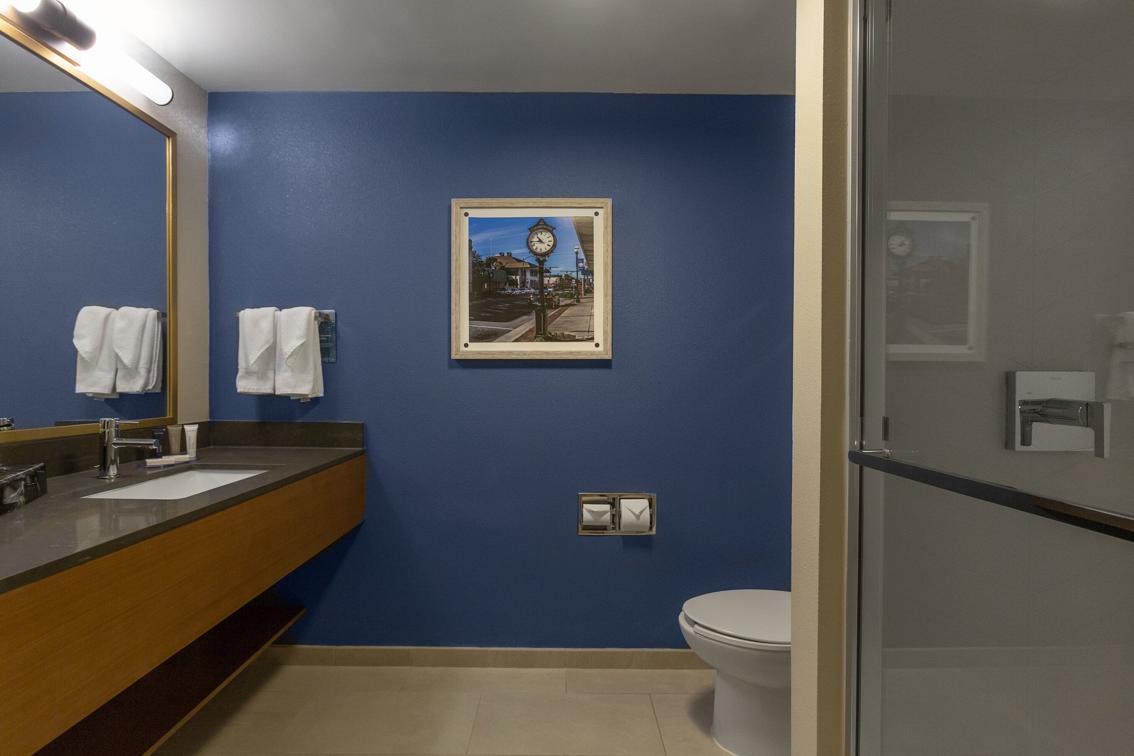 combined shower/bathtub, free toiletries, hair dryer, towels