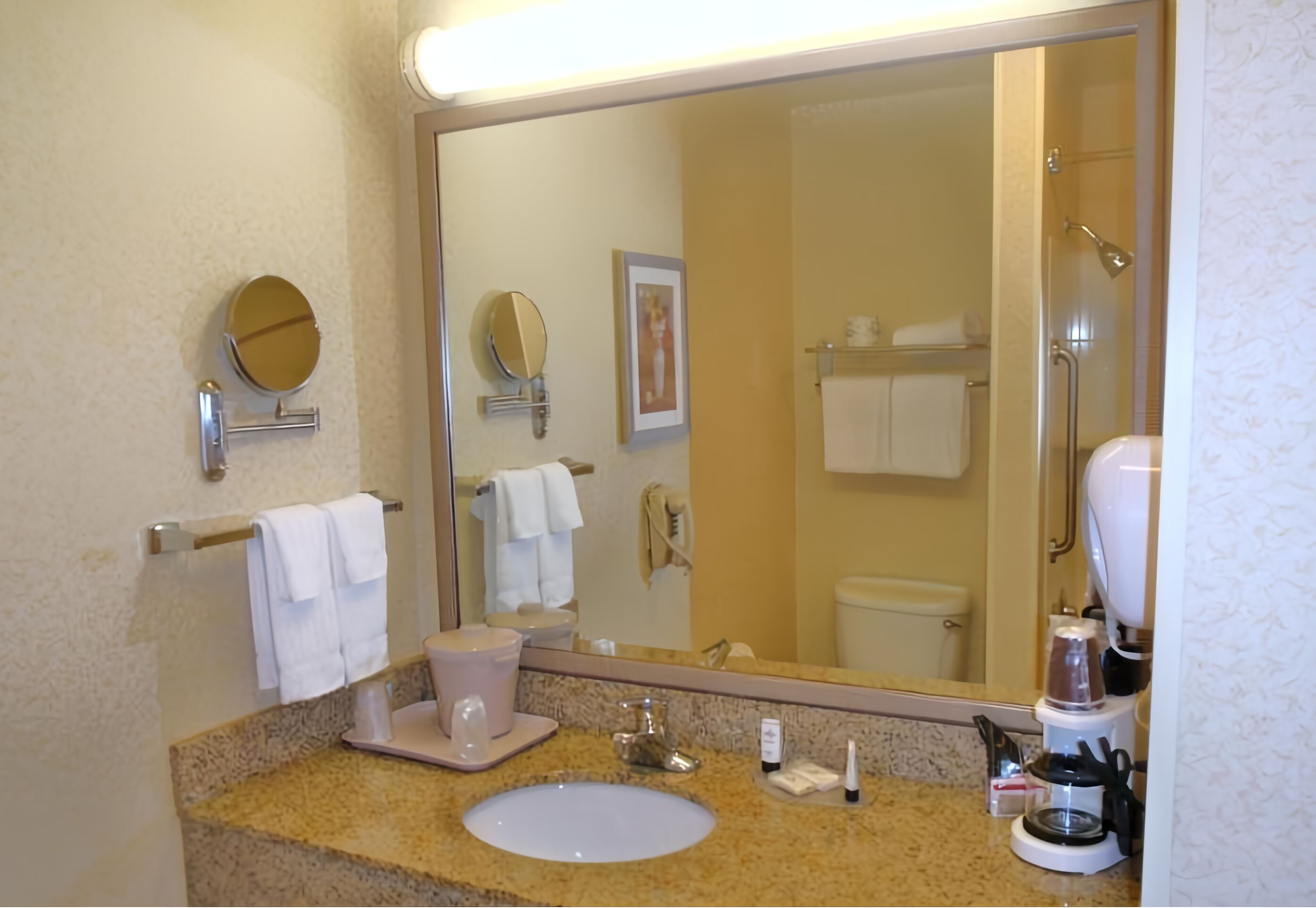 A bathroom with a large mirror, two round mirrors, a sink with a pink soap dispenser, a coffee maker, and a toilet visible in the reflection.