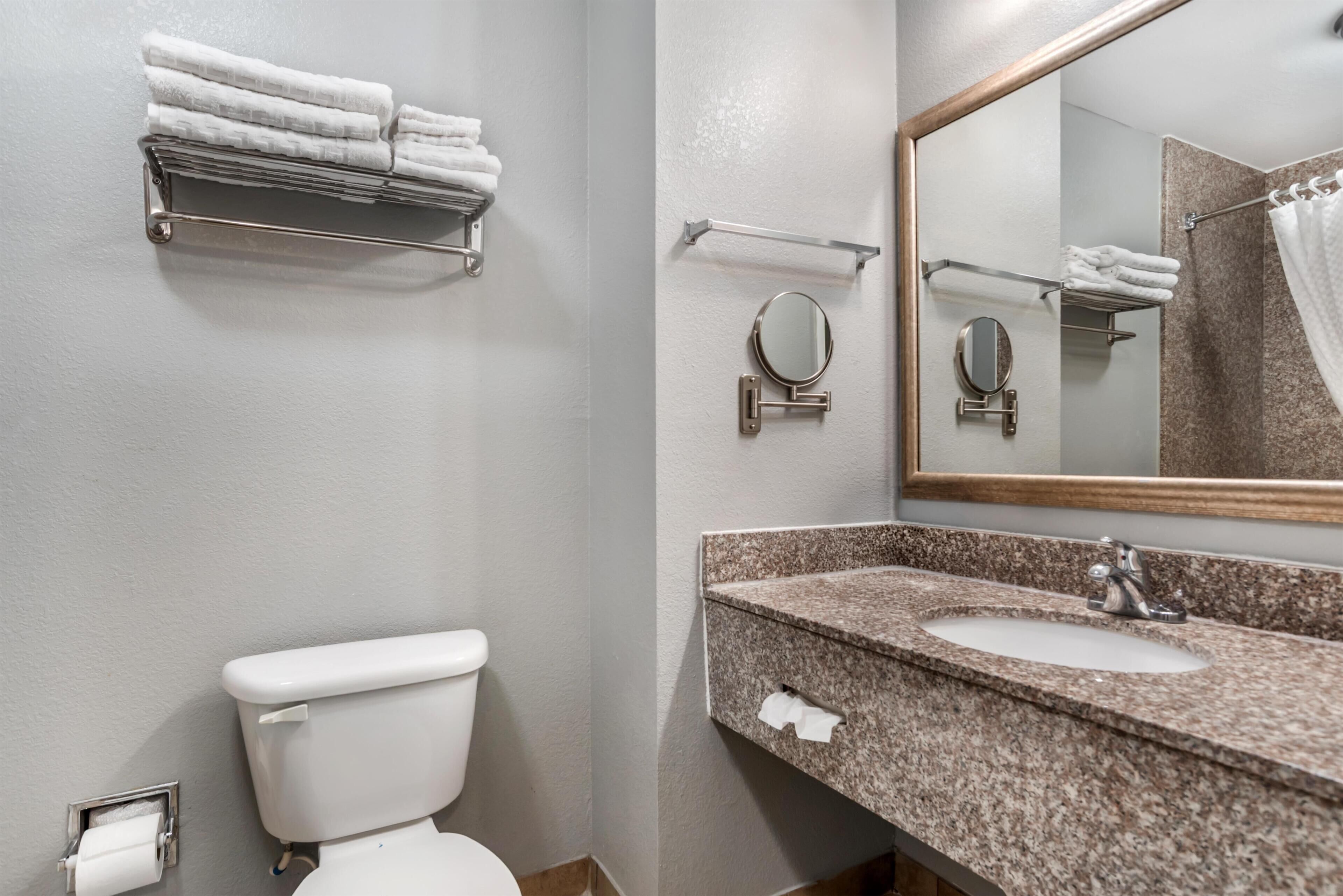 Een badkamer met toilet, wastafel, handdoekrek en spiegel.