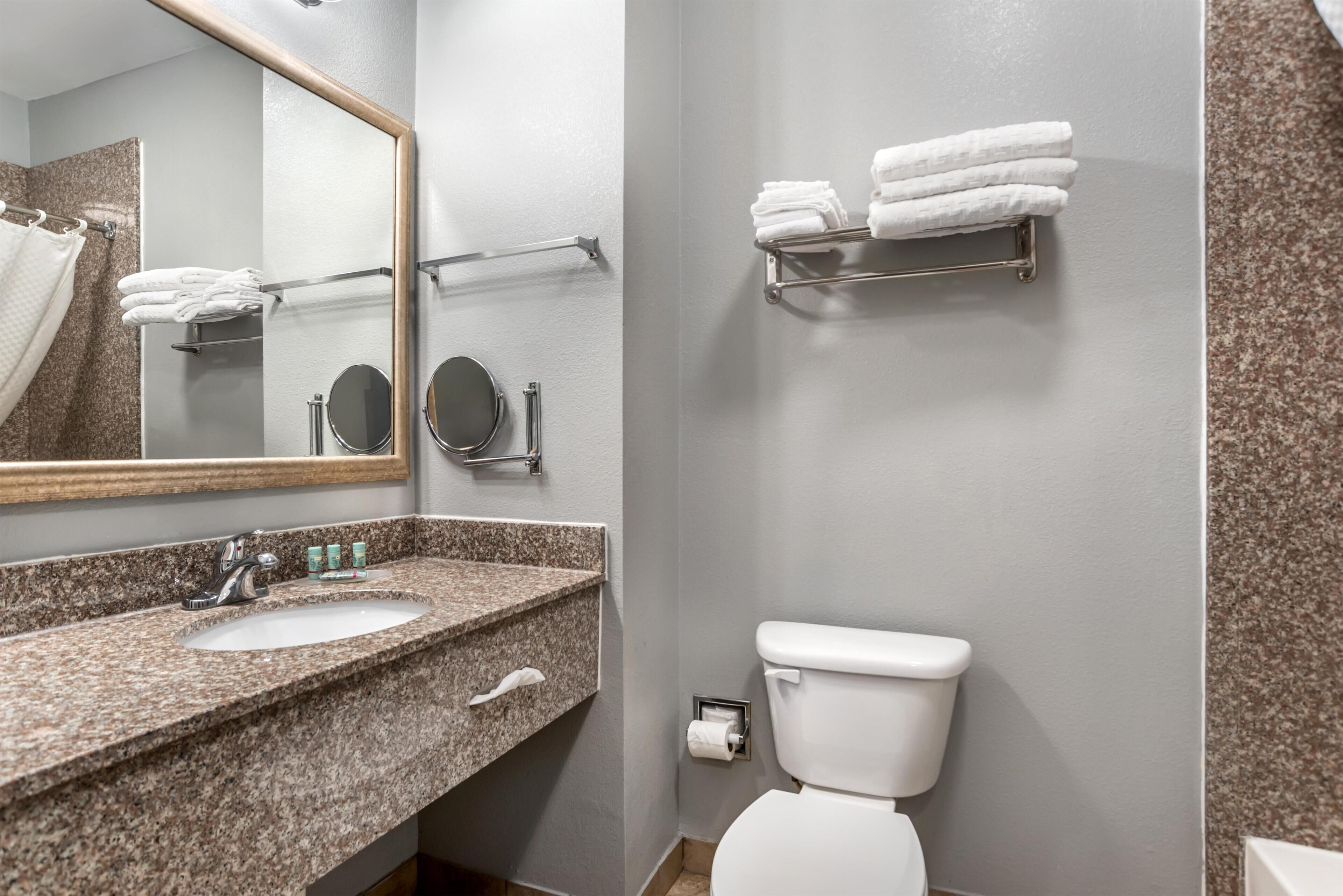 Une salle de bain avec un lavabo à dessus en granit, un miroir, des toilettes et un porte-serviettes.