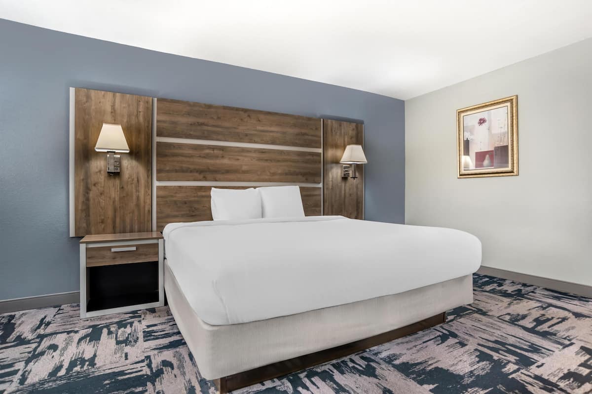 Standard Room, 1 King Bed, Non Smoking, Refrigerator & Microwave