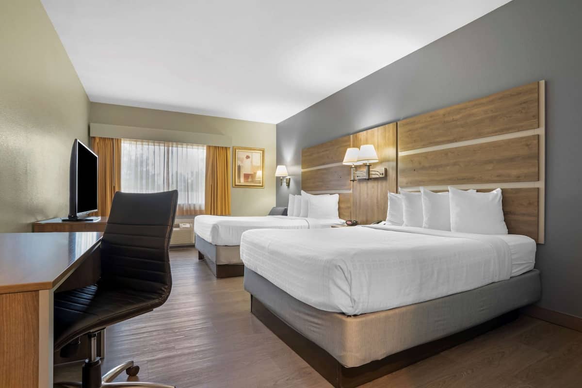 Premium bedding, desk, laptop workspace, blackout curtains