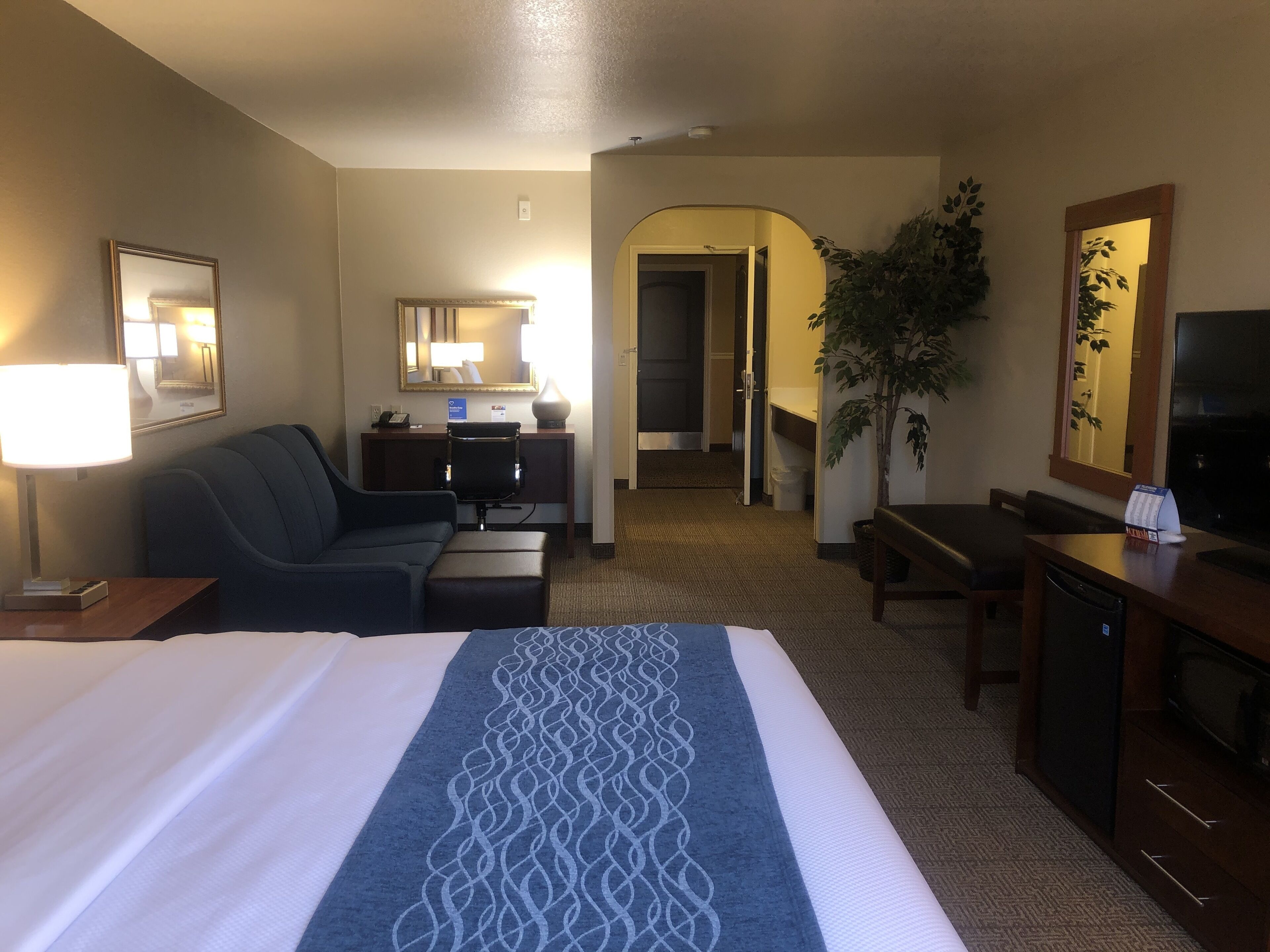 A hotel room with a bed, a desk, a chair, a sofa, a TV, and a plant.