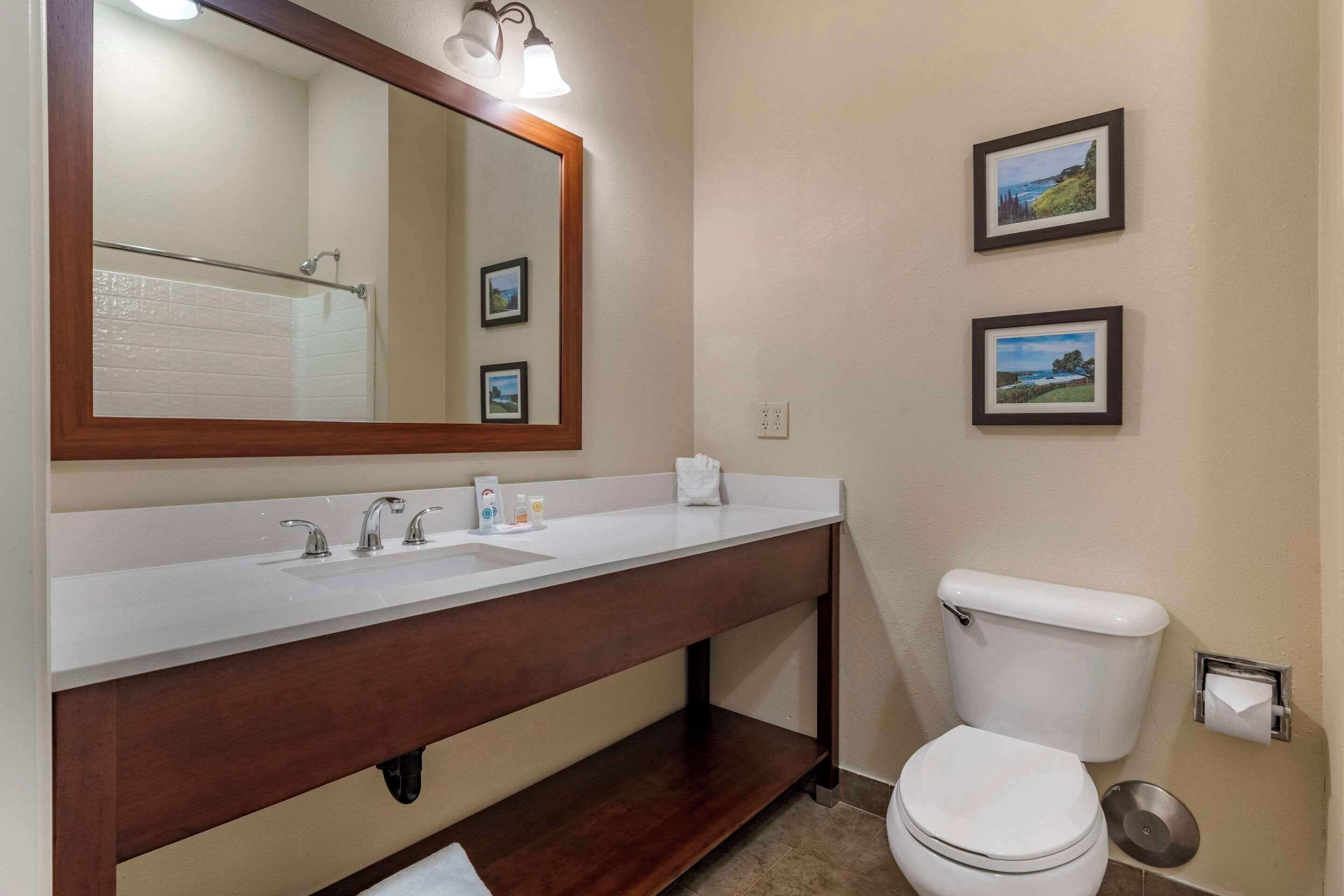 Un baño con un lavamanos blanco, un espejo grande, un inodoro y dos cuadros en la pared.