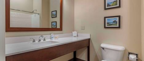 Un baño con un lavamanos blanco, un espejo grande, un inodoro y dos cuadros en la pared.