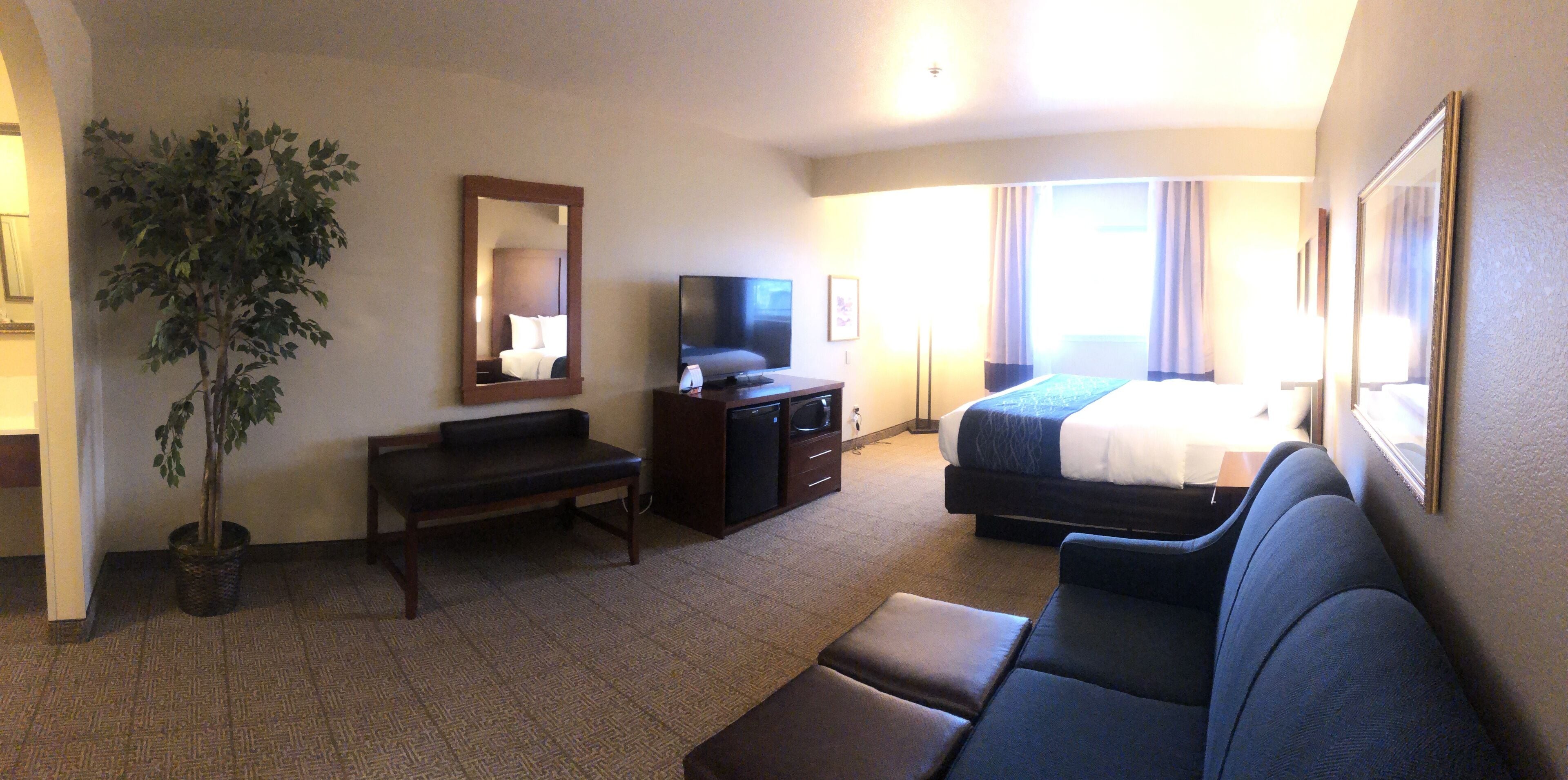 A hotel room with a bed, a TV, a desk, a chair, a sofa, and a potted plant.