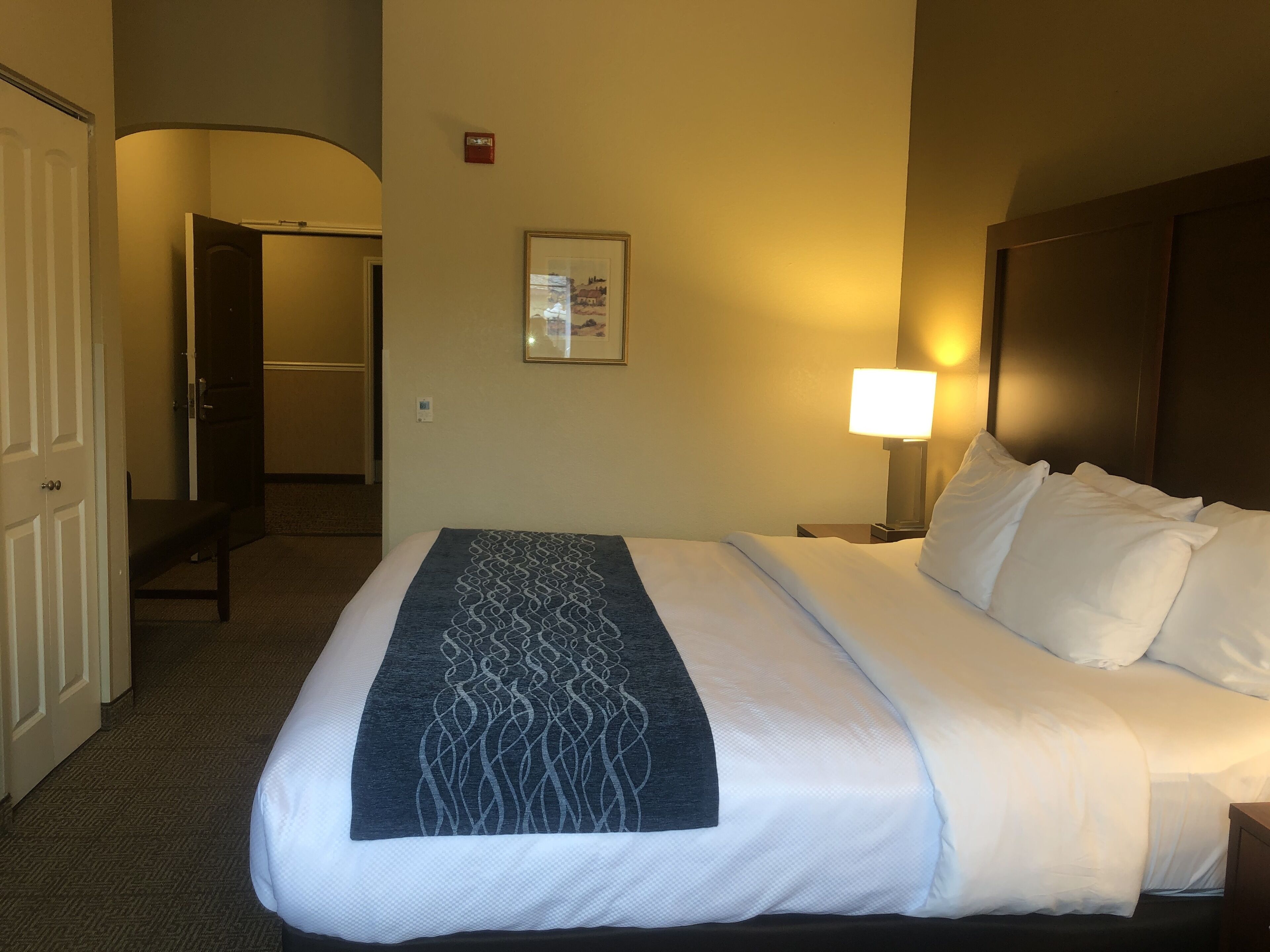 Una habitación de hotel con una cama, una mesita de noche, una lámpara, un cuadro en la pared y una puerta que da a otra habitación.