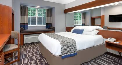 Microtel Inn & Suites by Wyndham Bremen