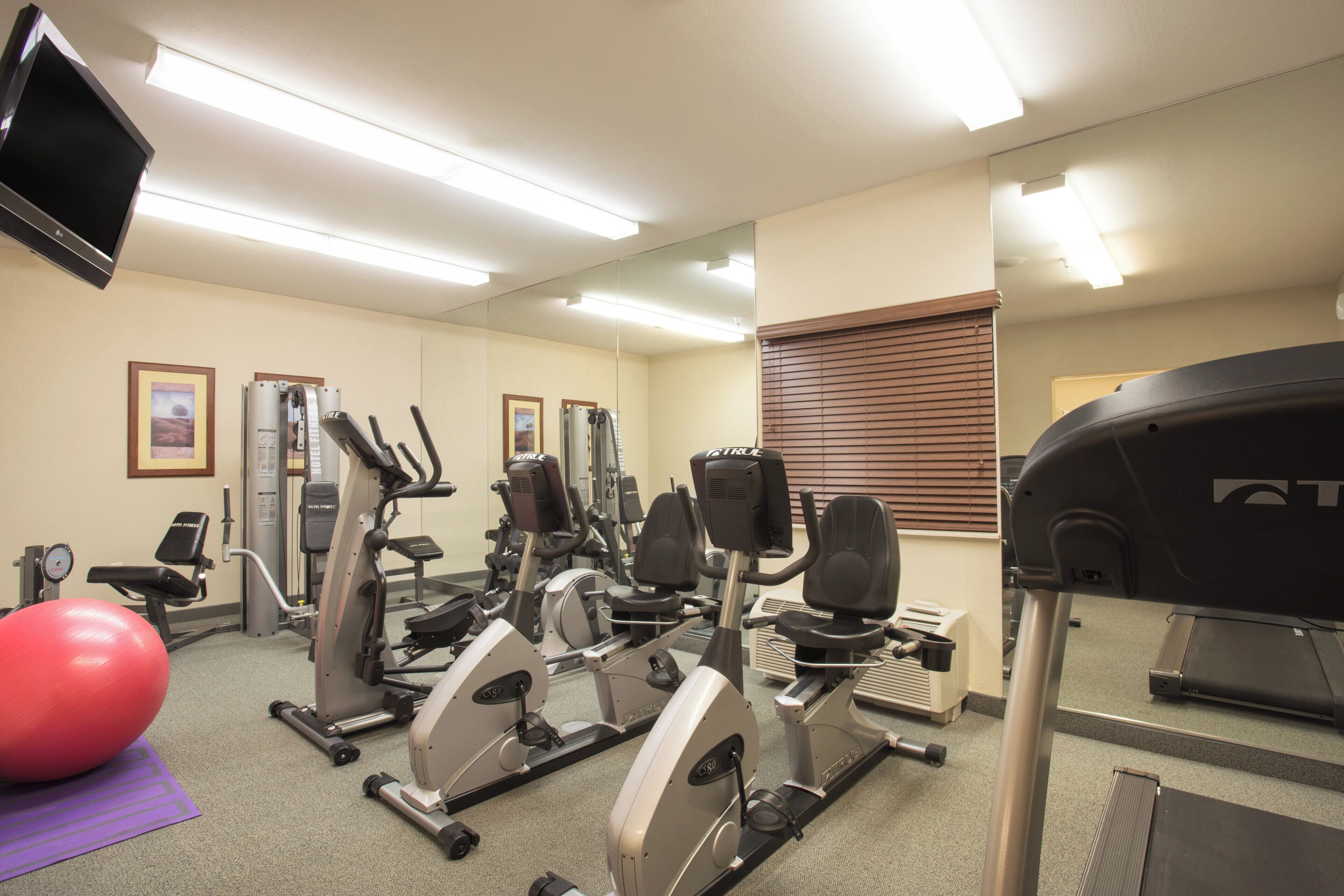 A gym with various exercise equipment, a treadmill, and a mirrored wall.