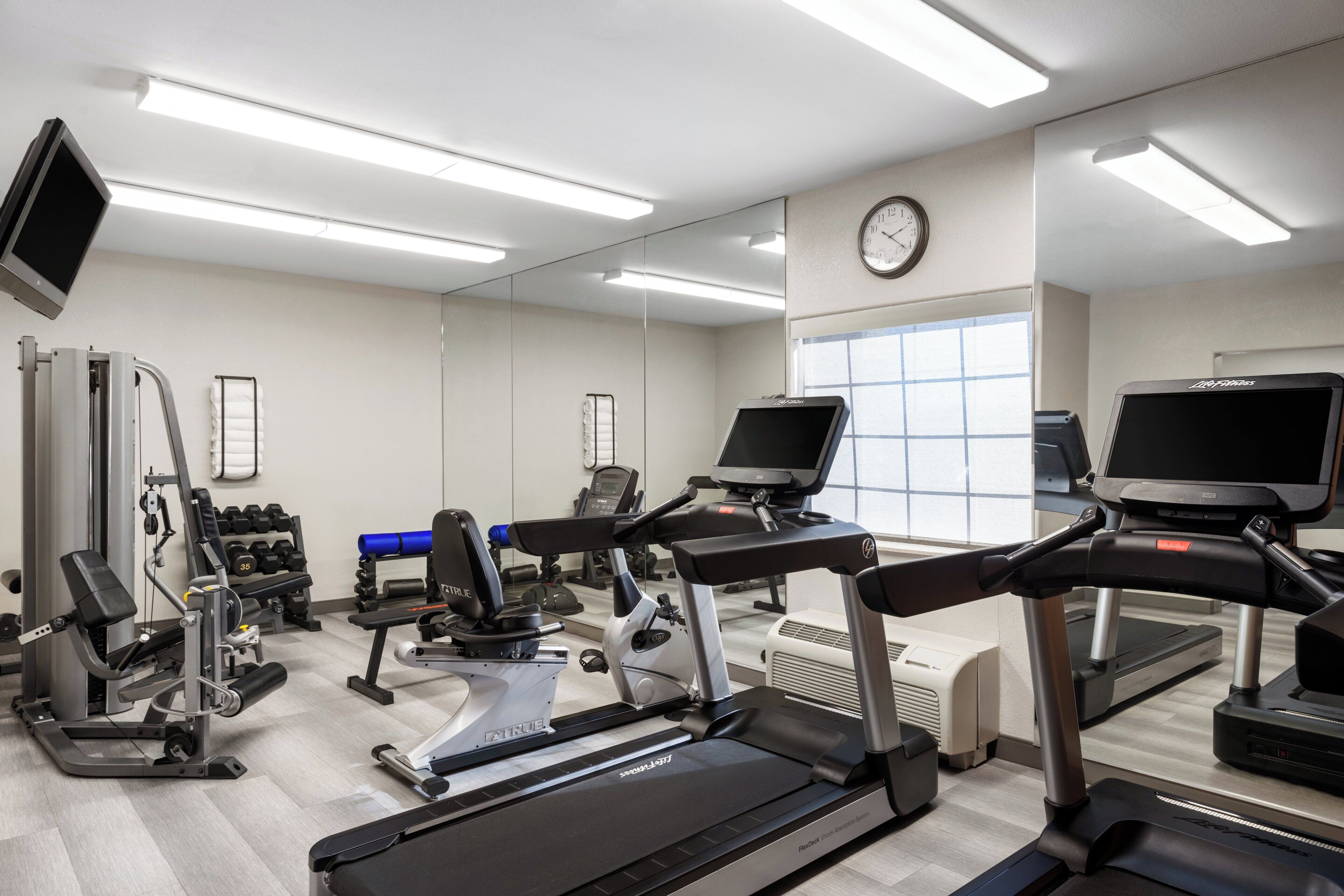 A gym with treadmills, weight machines, and a mirrored wall.