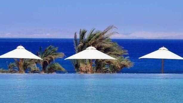 Zona de piscina con una silla de descanso, palmeras y sombrillas.