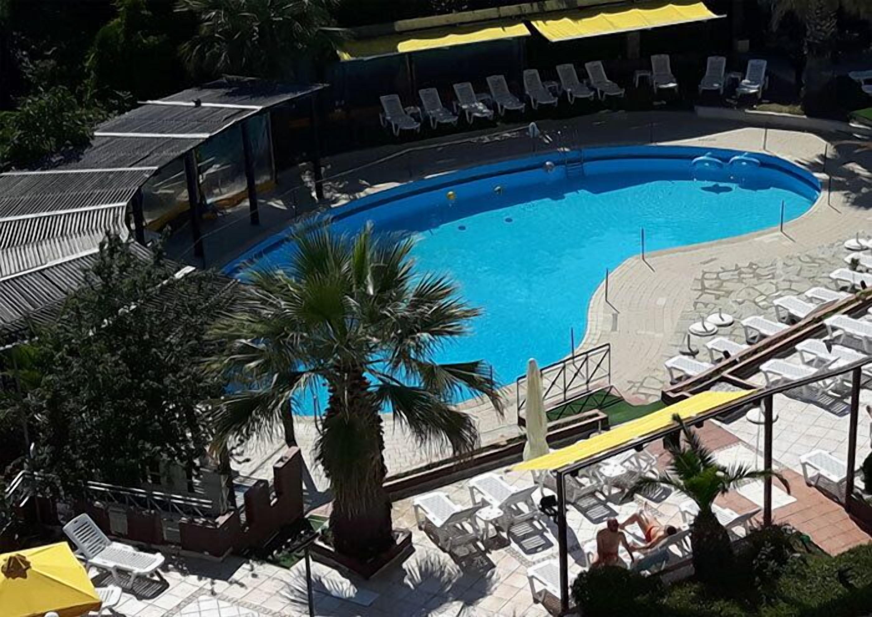 Una piscina con sillas de descanso y sombrillas, rodeada de palmeras y un área techada.