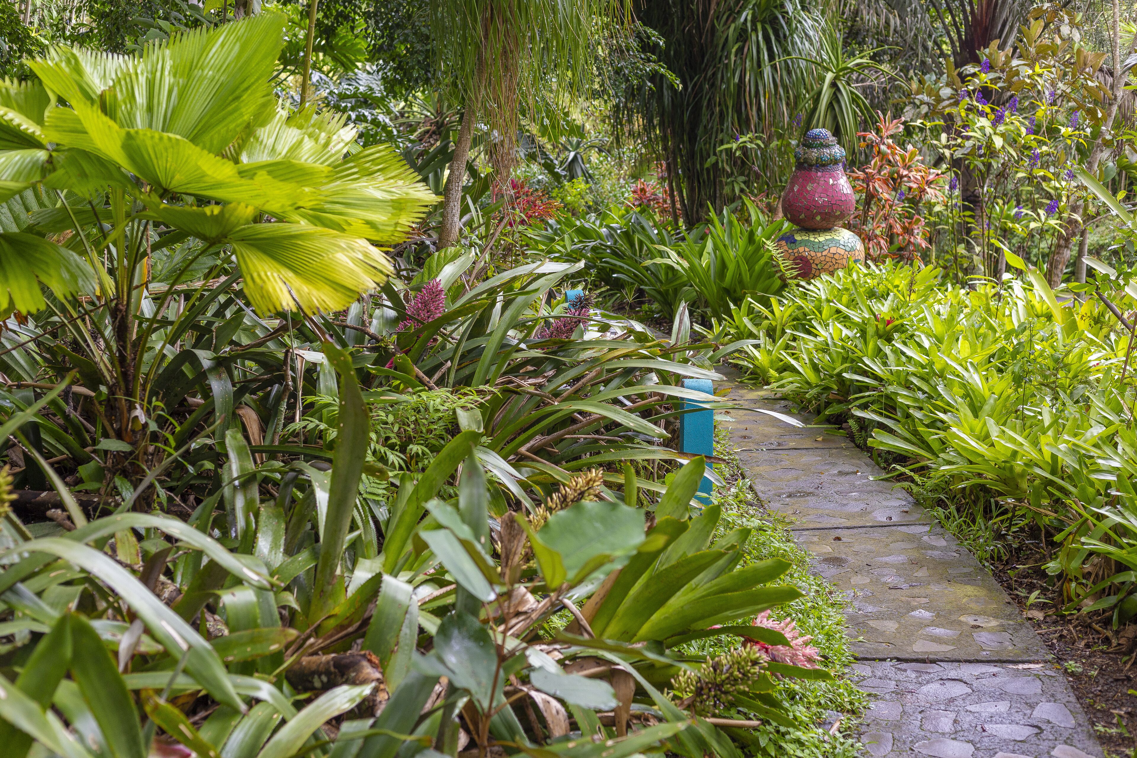 Un sendero en un jardín rodeado de exuberante follaje y jarrones decorativos.