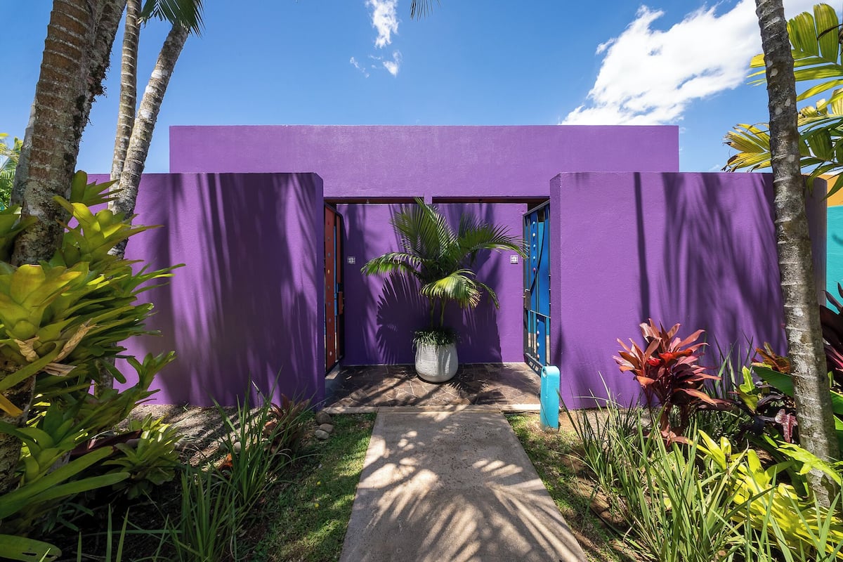 A pathway leading to a purple building with a door, surrounded by tropical plants.