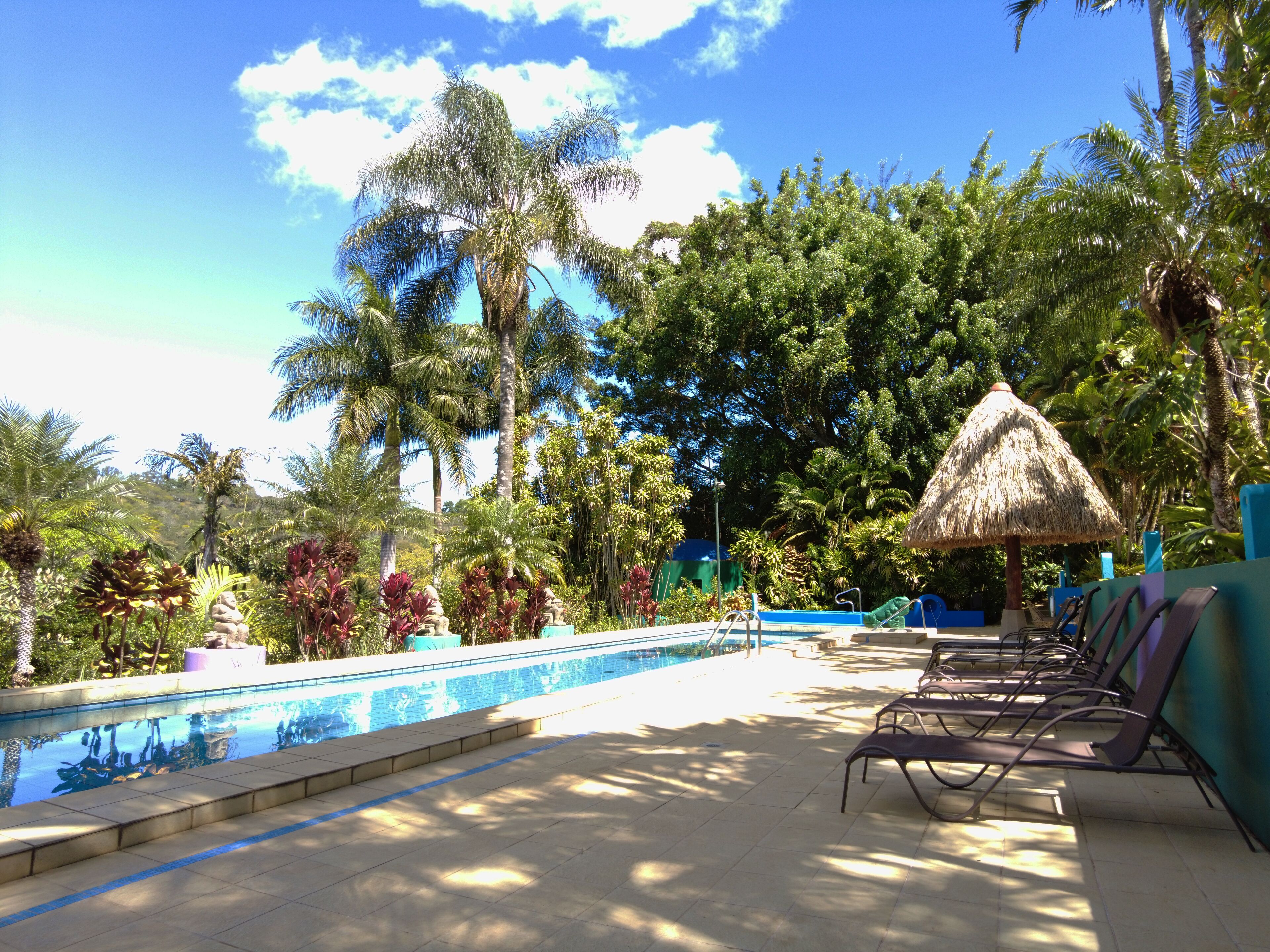 A pool area with lounge chairs, a thatched umbrella, and tropical vegetation.