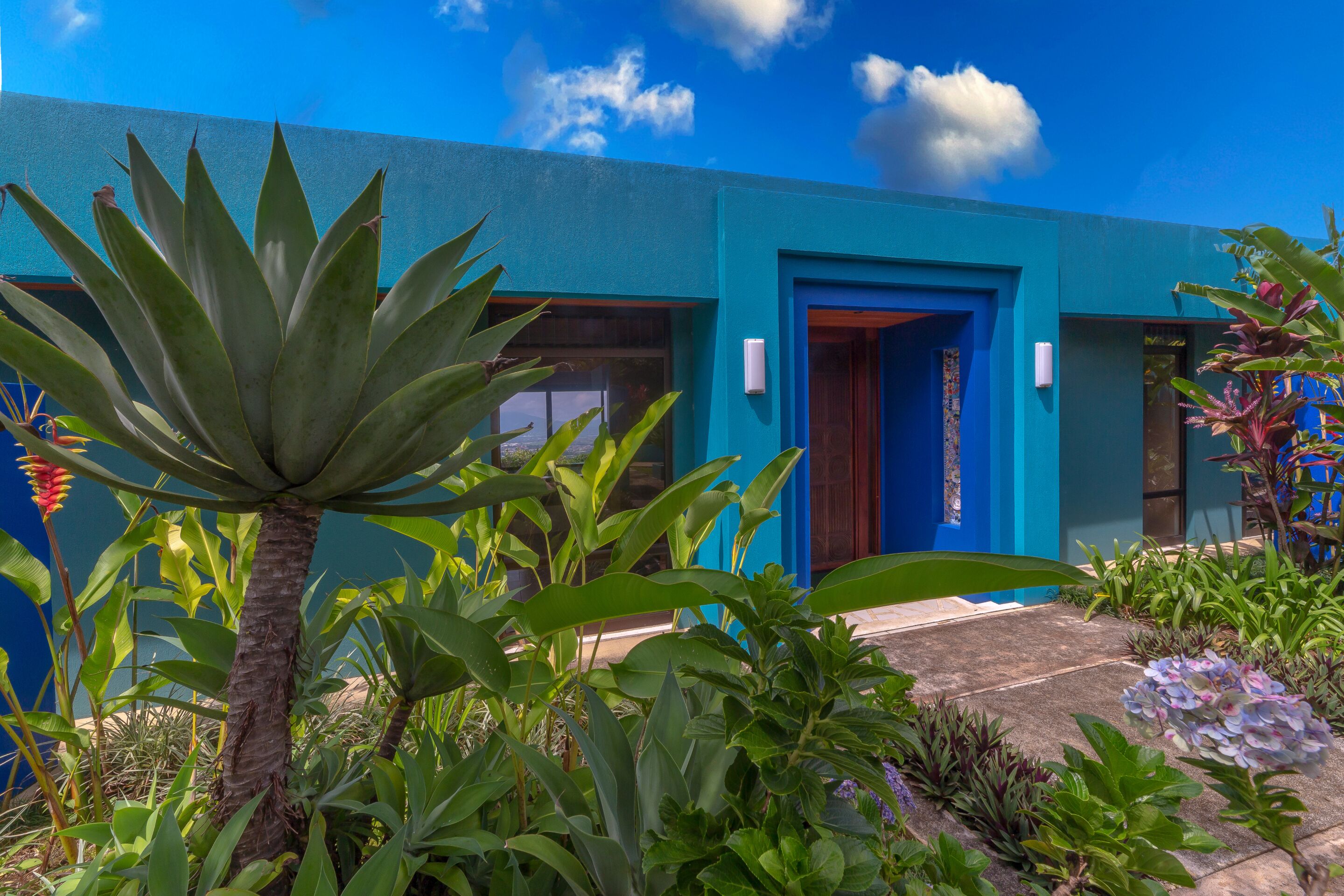 A modern building with a blue exterior, large windows, and a well-maintained garden with various plants and a palm tree.