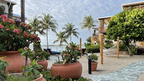A beachfront hotel with large terracotta planters, palm trees, and lounge chairs by the water. - Chabil Mar Luxury Villas - Guest Exclusive Beach Resort (Placencia)