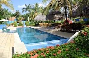 Una piscina rodeada de plantas tropicales y palmeras.