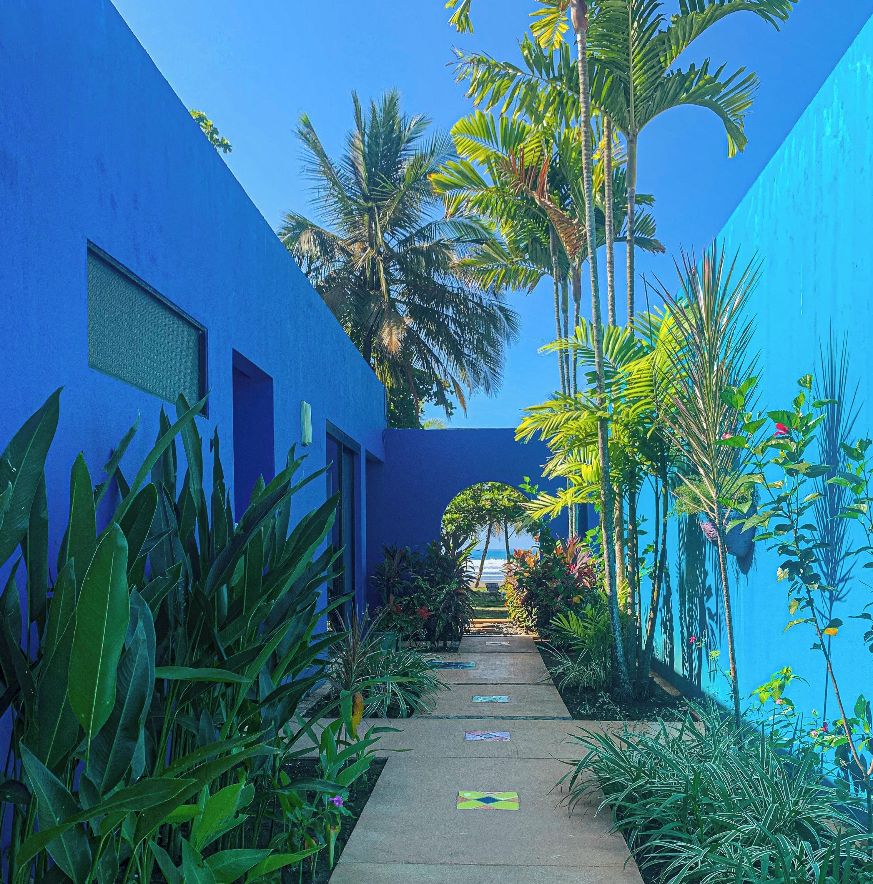 Un sendero bordeado por altas palmeras y plantas tropicales que conduce a un edificio de color azul.