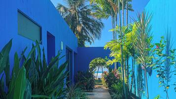 Un sendero bordeado por altas palmeras y plantas tropicales que conduce a un edificio de color azul.