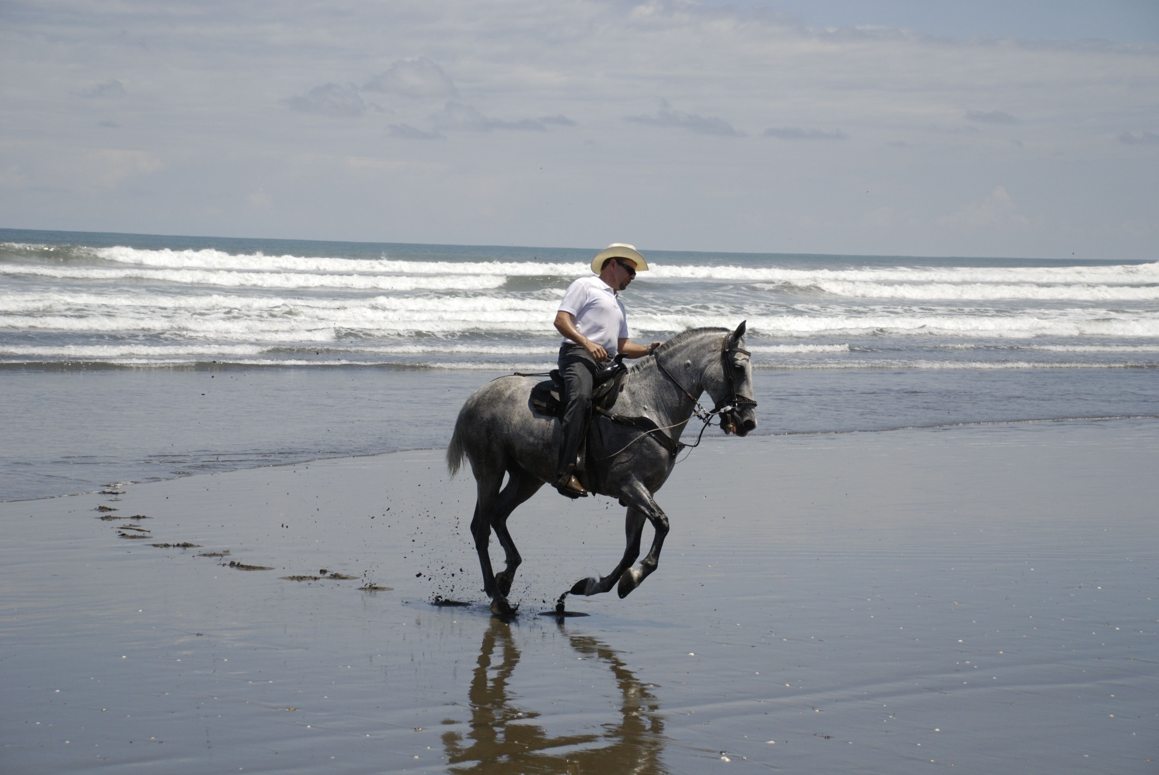 A person riding a horse on a beach with waves in the background.