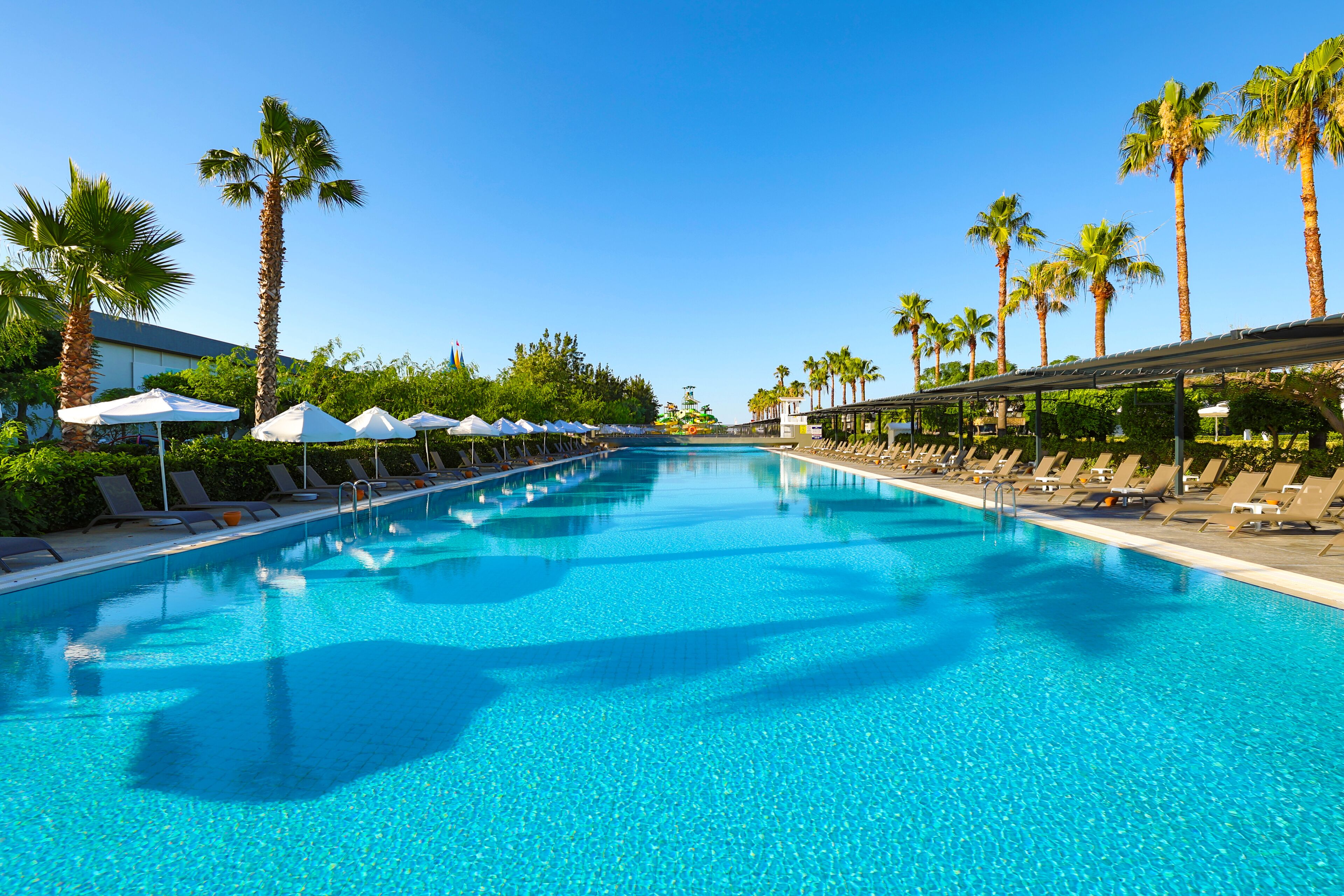 Ein großer Pool mit Liegestühlen und Sonnenschirmen, umgeben von Palmen.