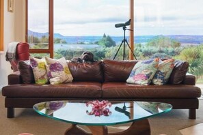 Télévision à écran plat, lecteur de DVD