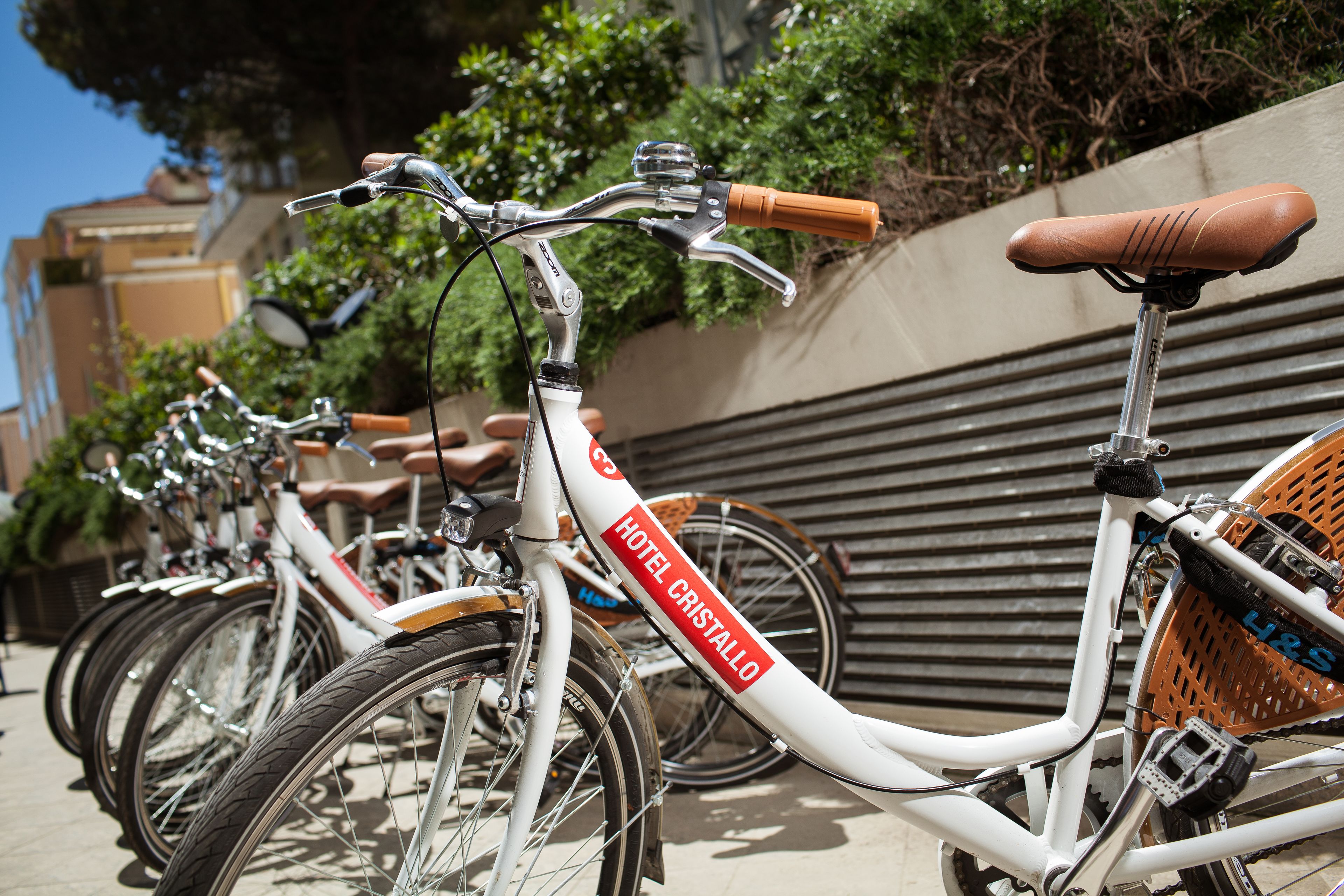 Foto - Hotel Cristallo