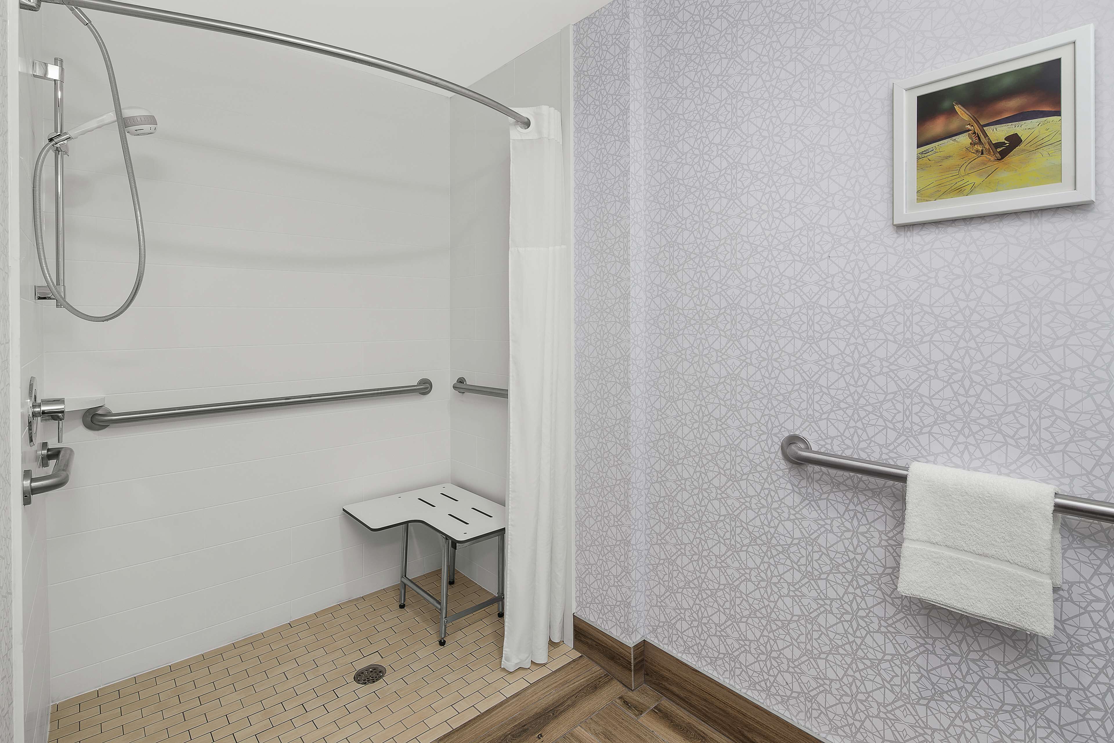 suite, 1 king bed, accessible, non smoking | bathroom shower