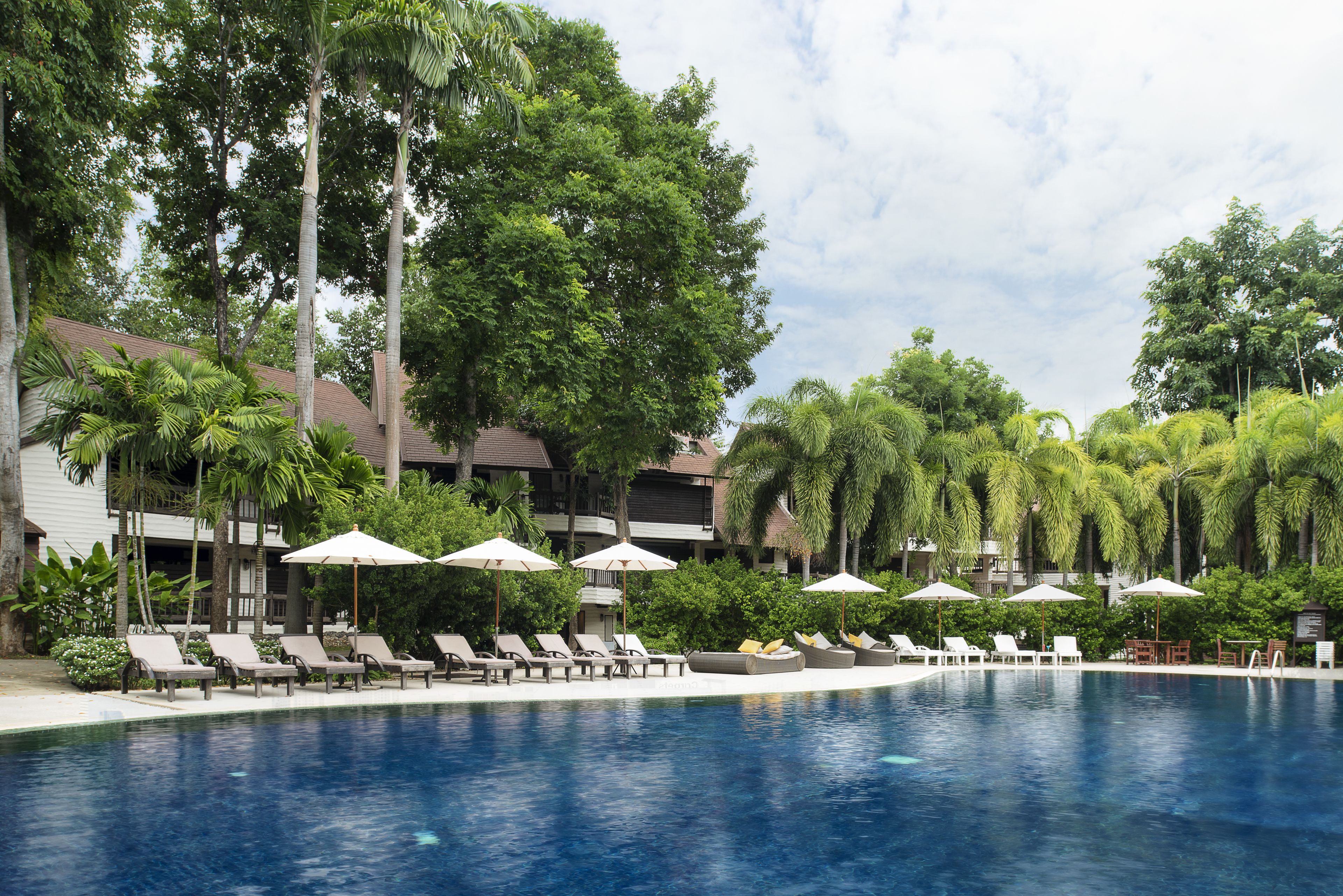 A pool area with lounge chairs and umbrellas, surrounded by tall trees and a building with multiple balconies.