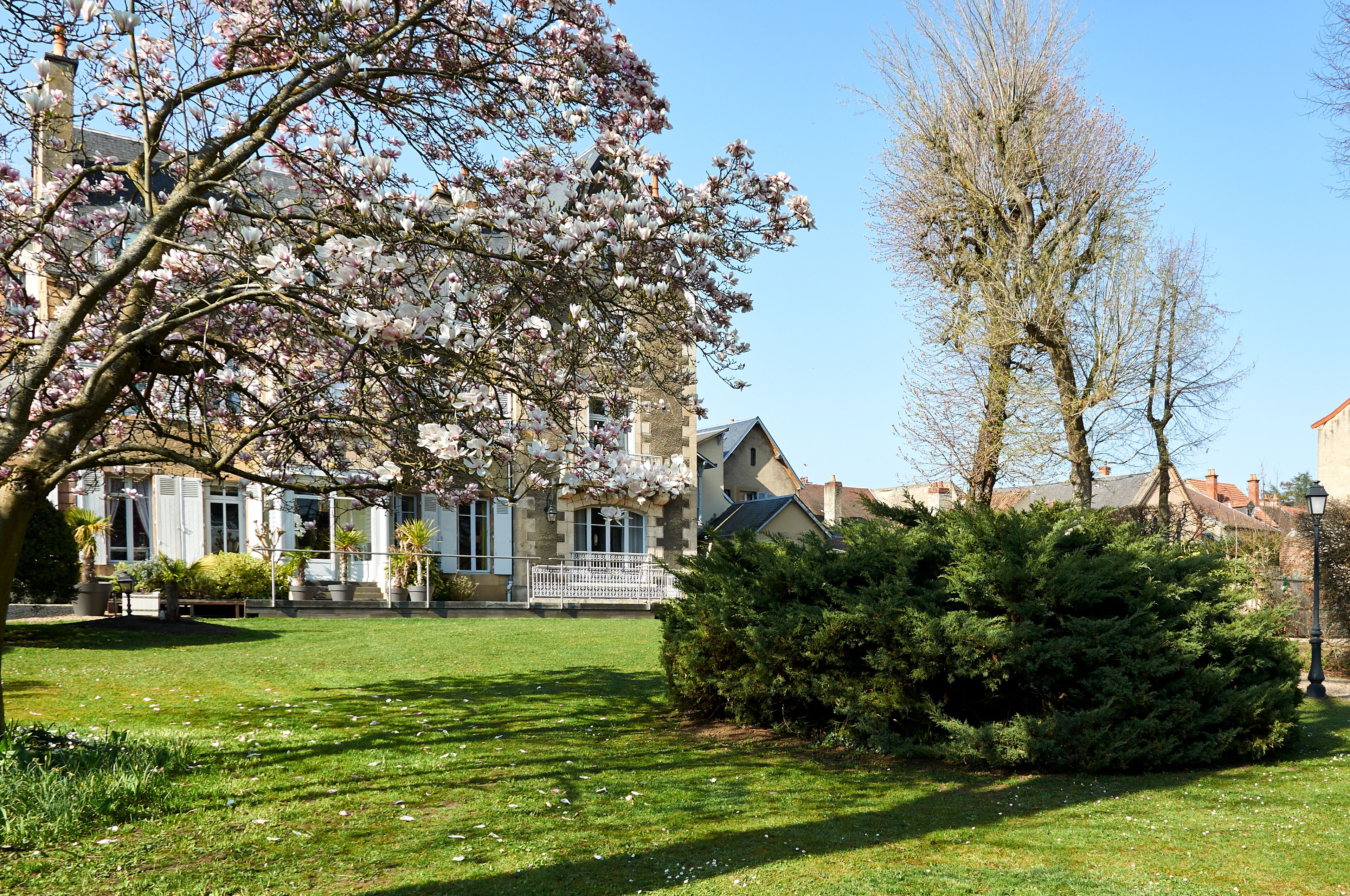 premium bedding, in-room safe, desk, blackout curtains