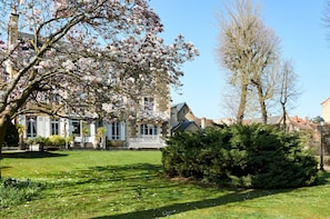 Un jardin bien entretenu, avec un grand arbre en fleurs, un arbuste taillé avec soin et un bâtiment au style architectural traditionnel.
