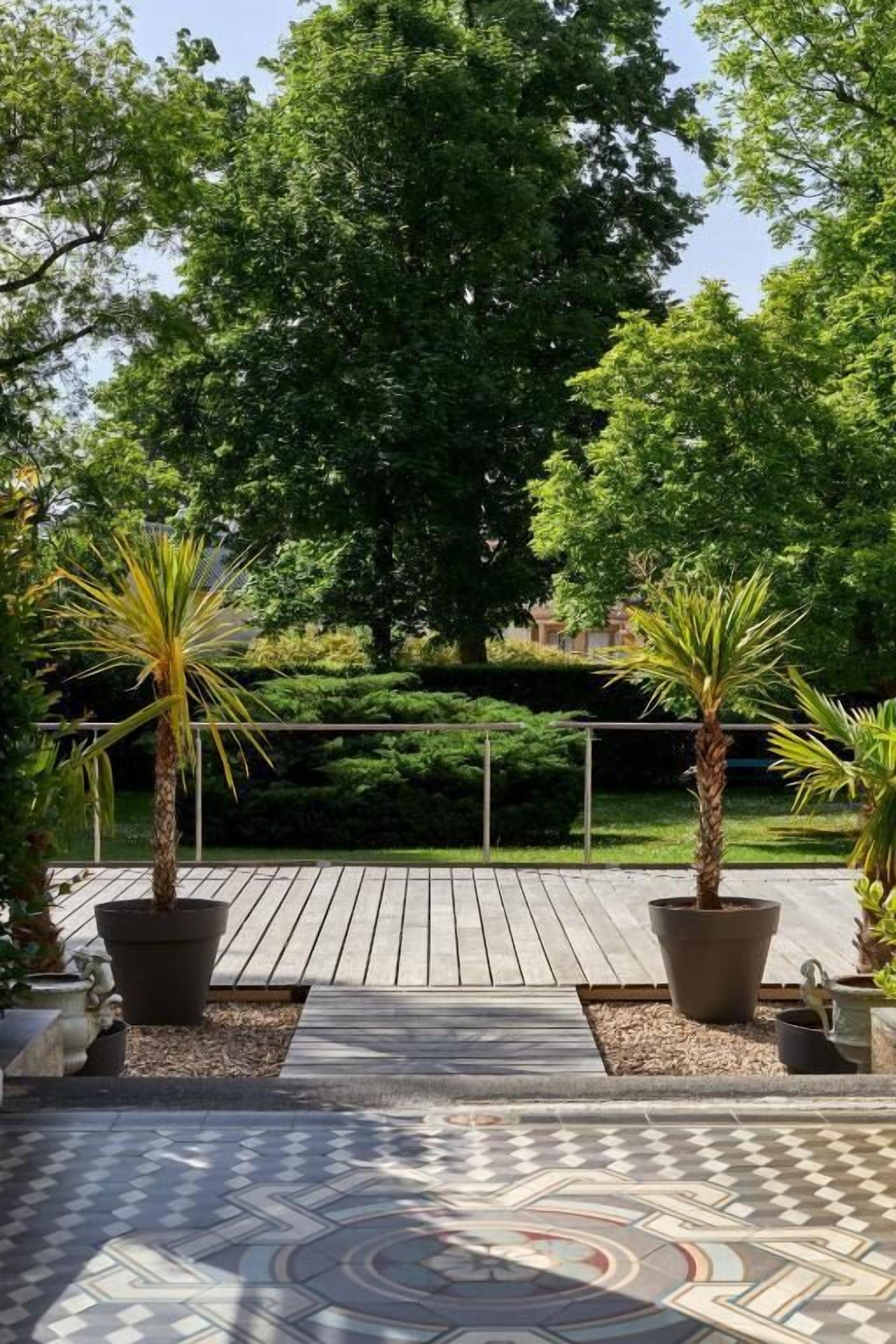 A paved outdoor area with potted plants and a large tree in the background.