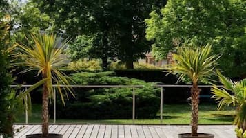 A paved outdoor area with potted plants and a large tree in the background.