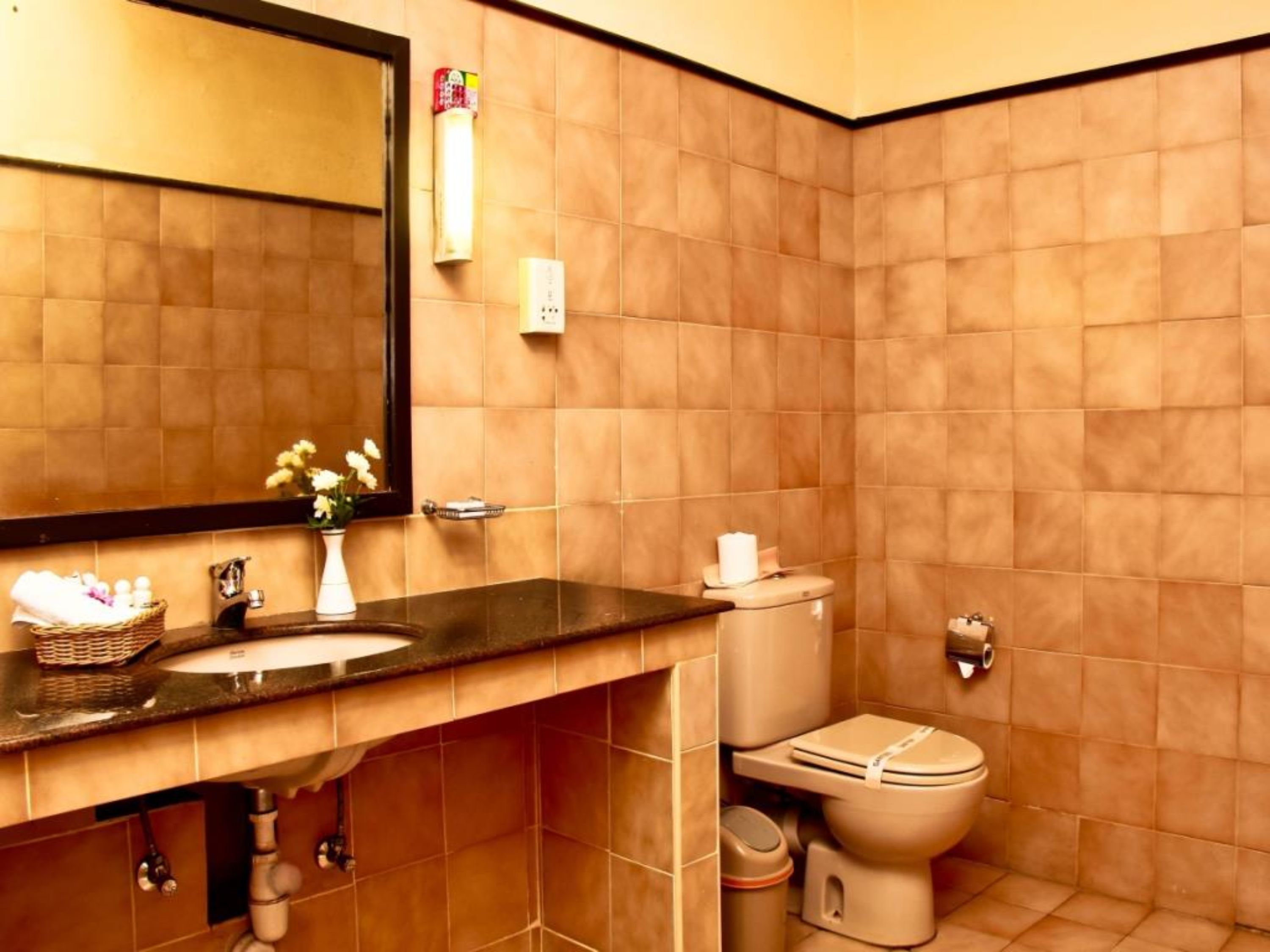Un baño con lavamanos, espejo, inodoro y un cubo de basura.