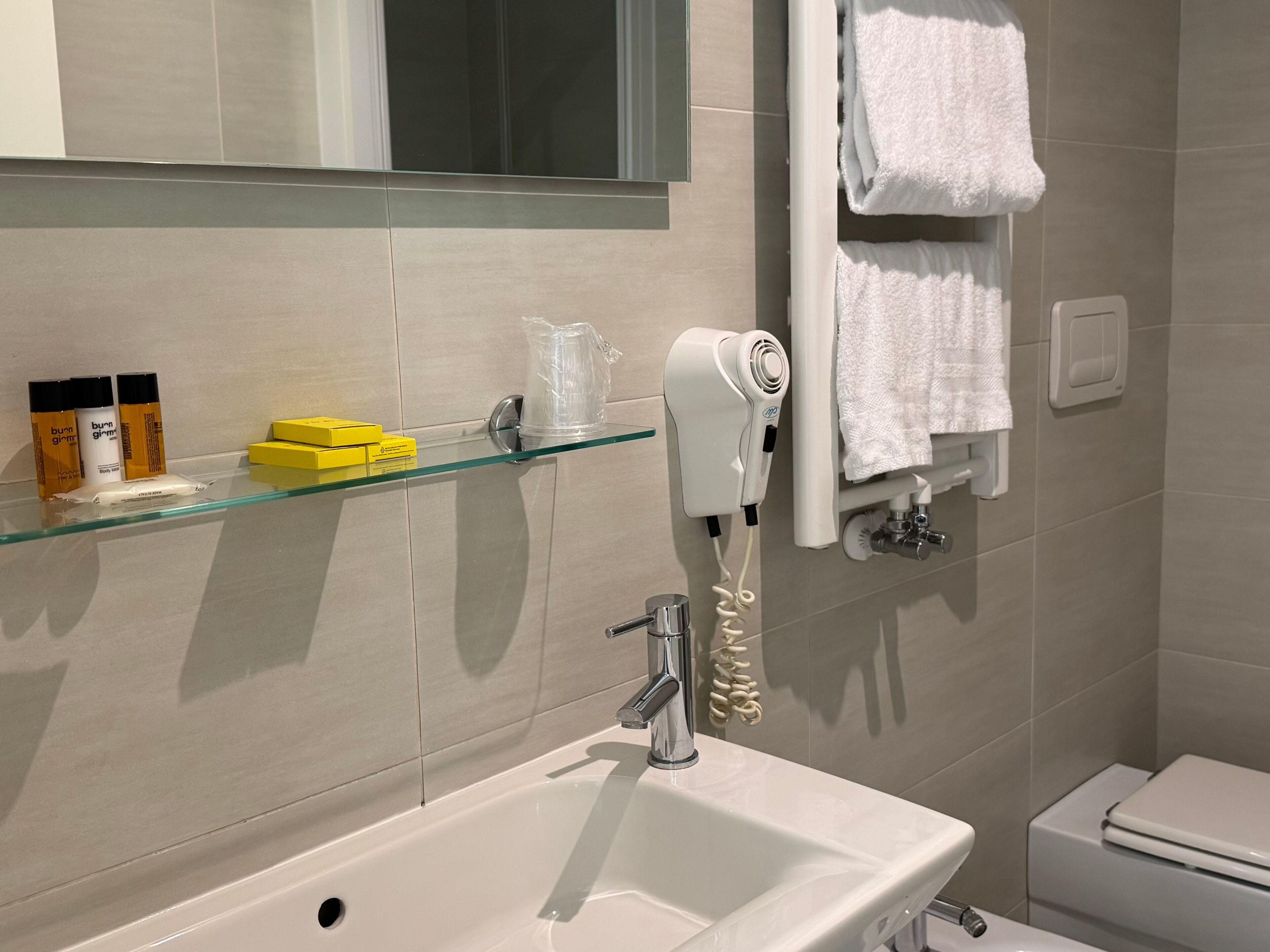 A bathroom with a glass shelf holding toiletries, a hairdryer, a towel rack, and a toilet.