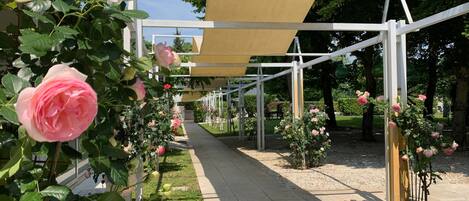 Un sendero bordeado de rosales y una estructura de pérgola.