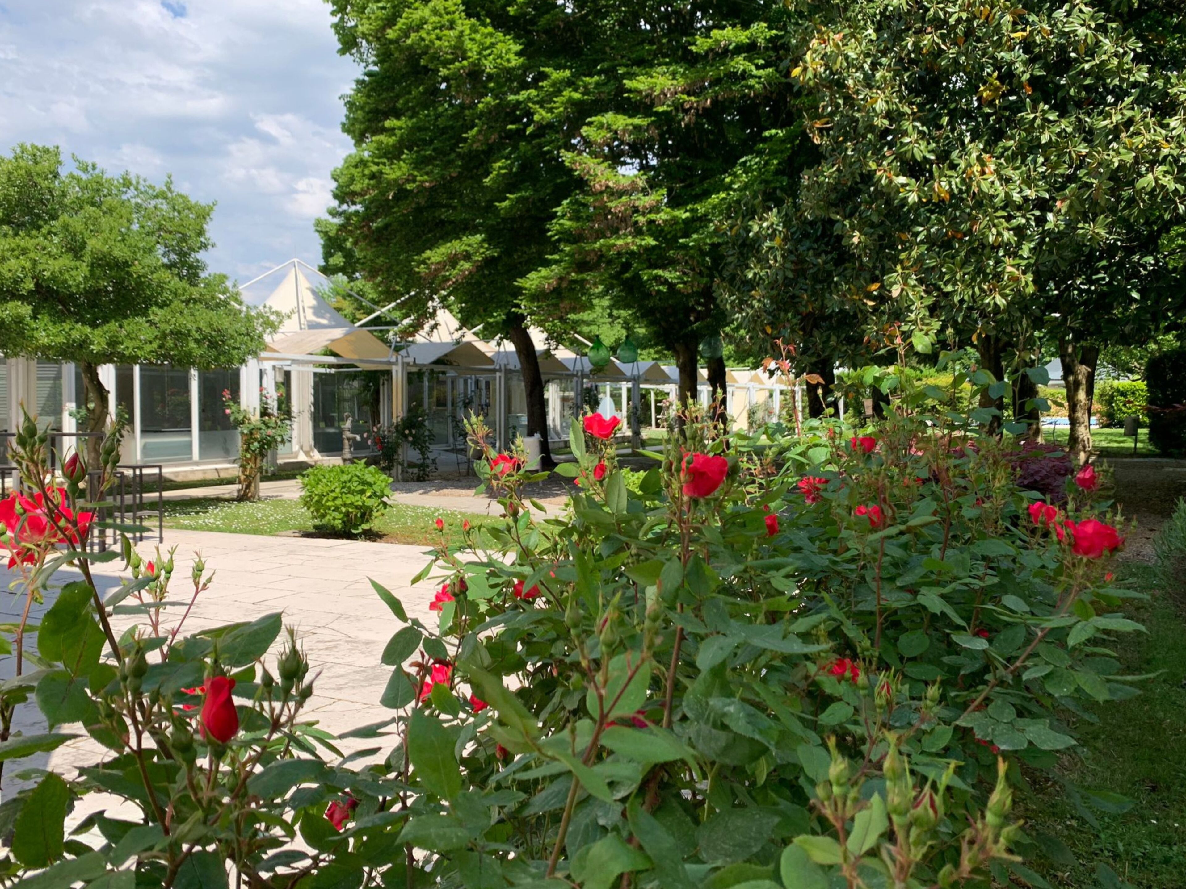 A garden with red roses, a gazebo, and trees.
