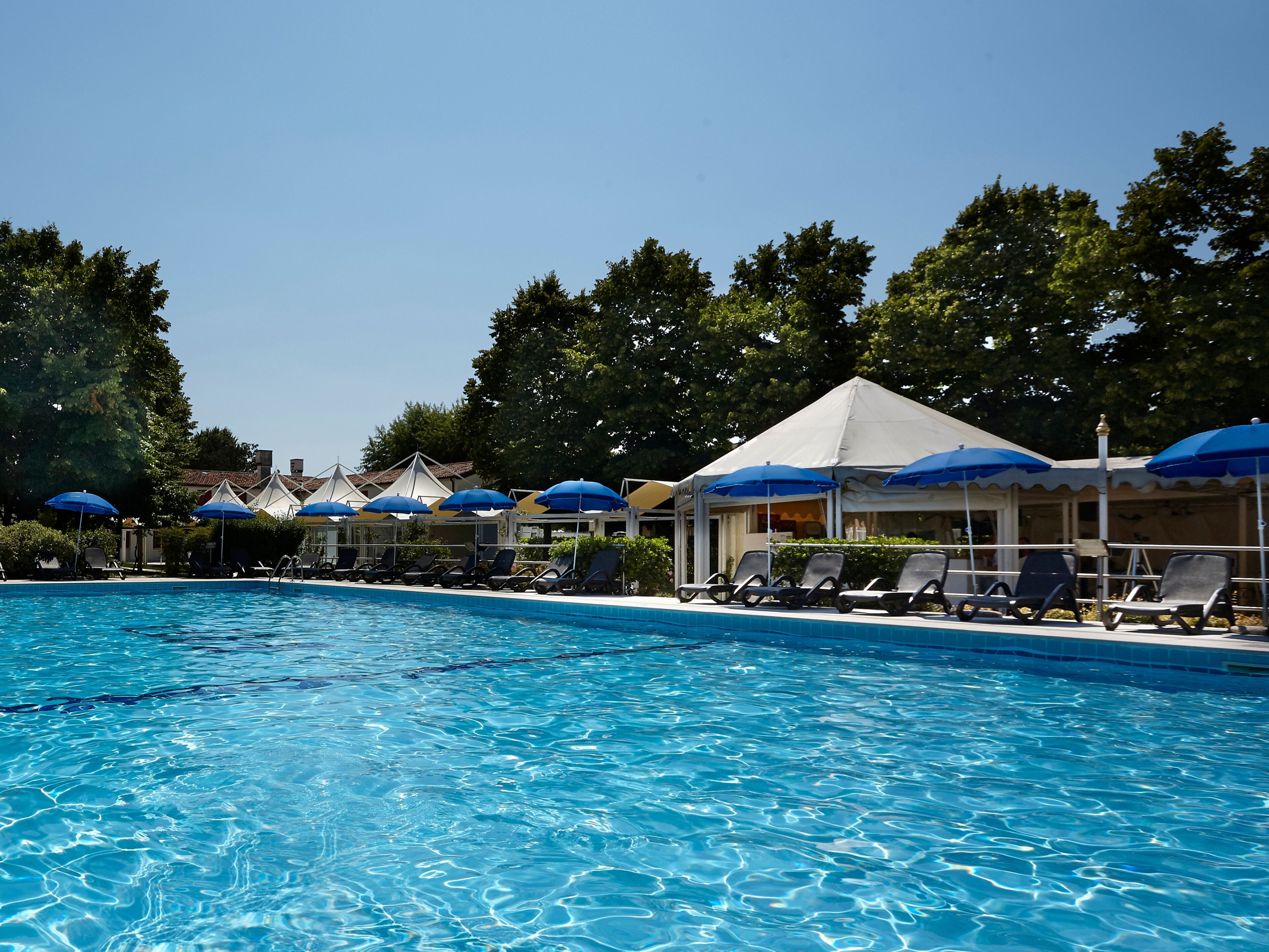Una piscina con tumbonas y sombrillas.