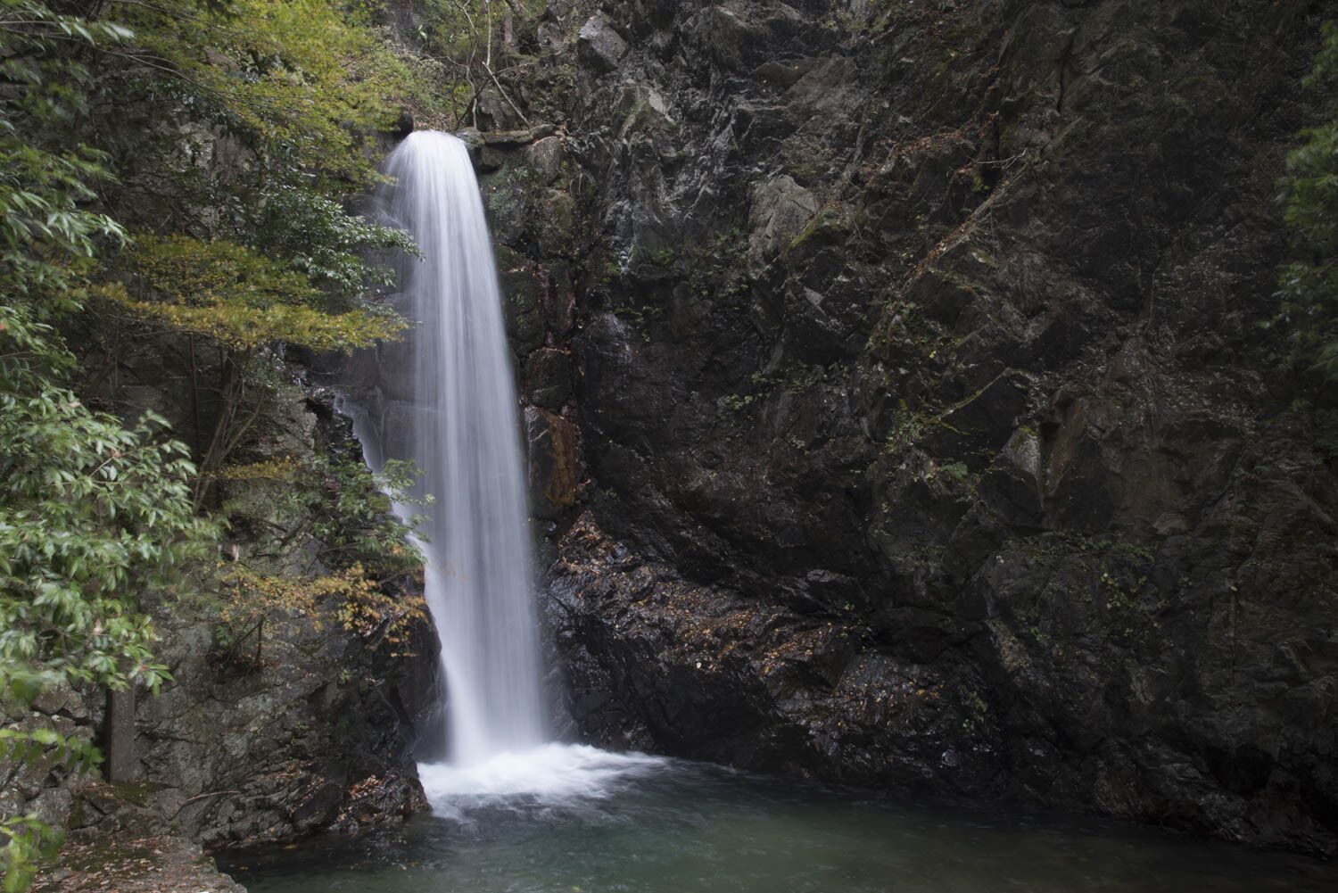 Una cascada se precipita por un risco rocoso, rodeada de una vegetación exuberante.
