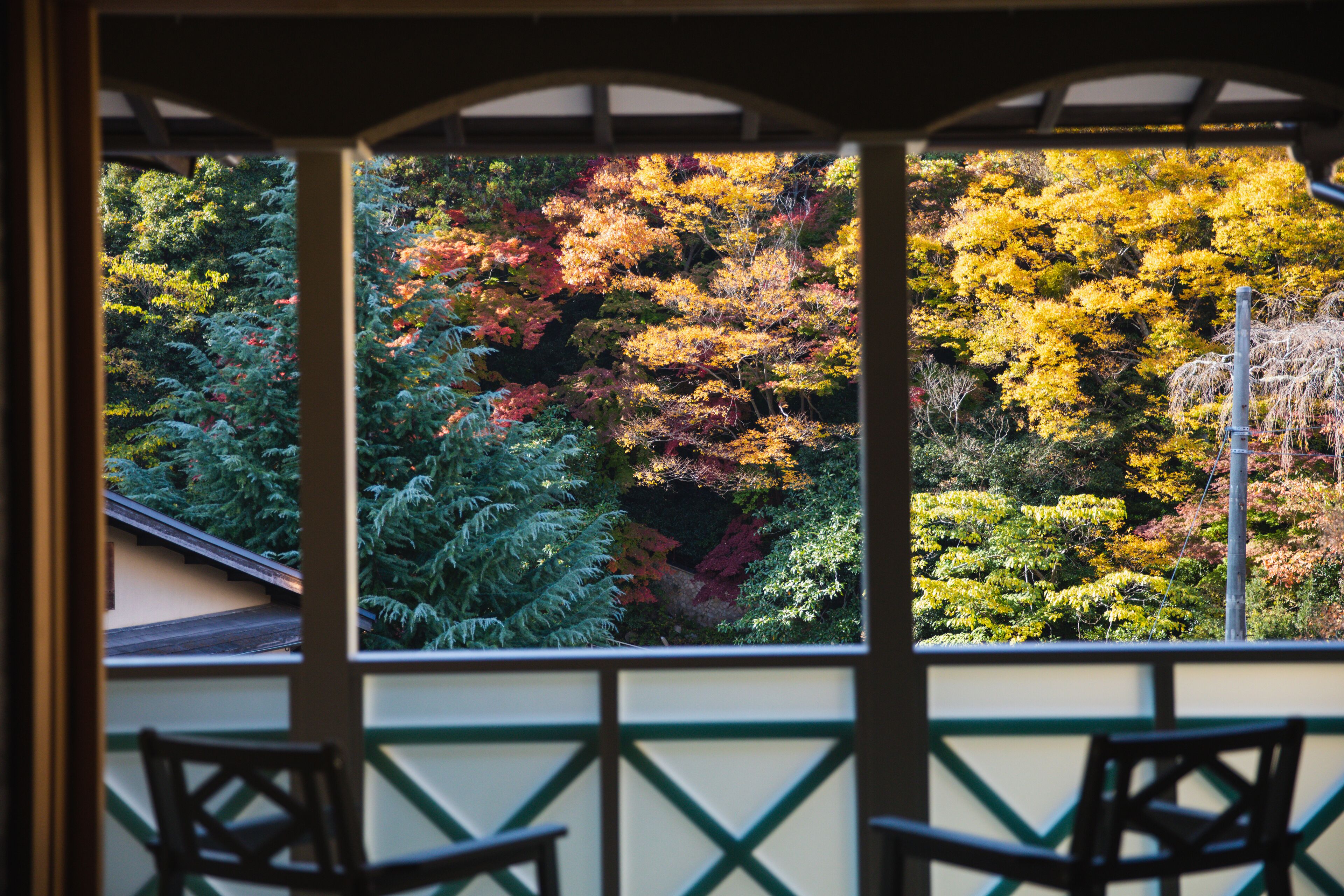 A view from a covered porch with a railing, overlooking a garden with various trees and shrubs.