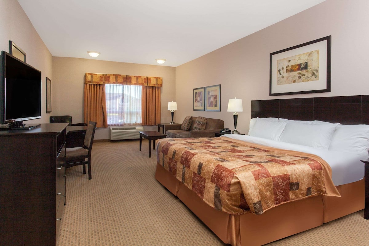 Room, 1 King Bed, Non Smoking | Premium bedding, down duvets, in-room safe, desk