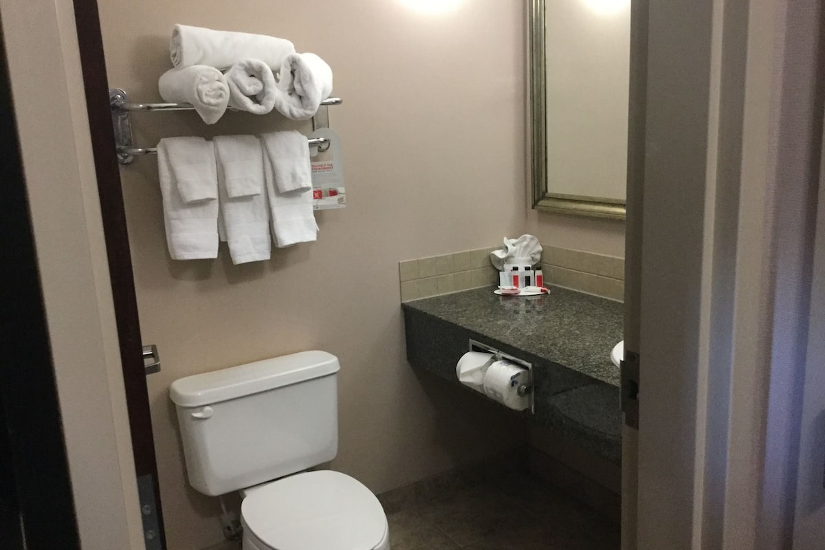 premium bedding, down duvets, in-room safe, desk