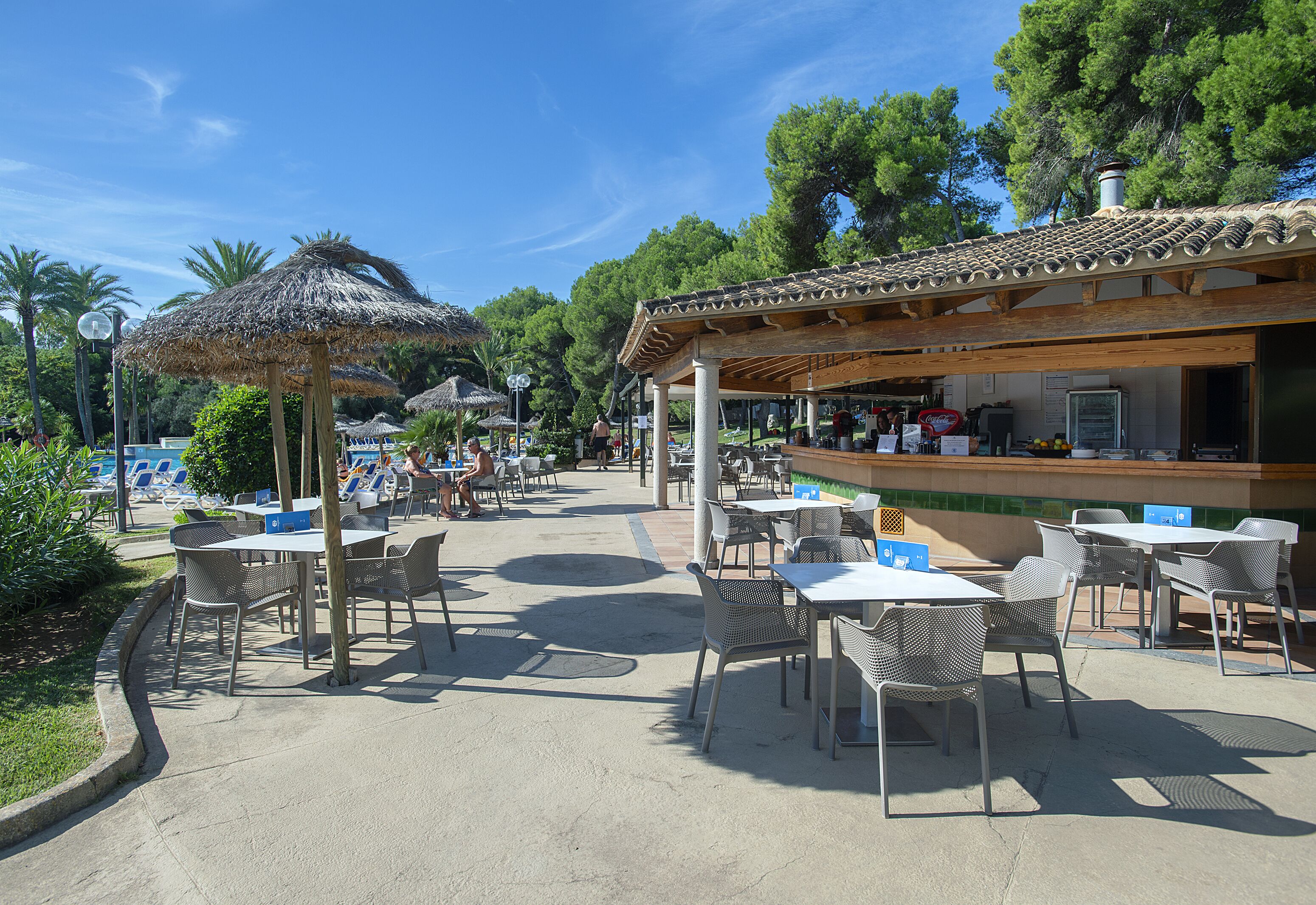 Swim-up bar