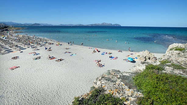 A beach with numerous umbrellas and sun loungers, a clear blue sky, and a calm sea. - Hotel Exagon Park (Santa Margalida)