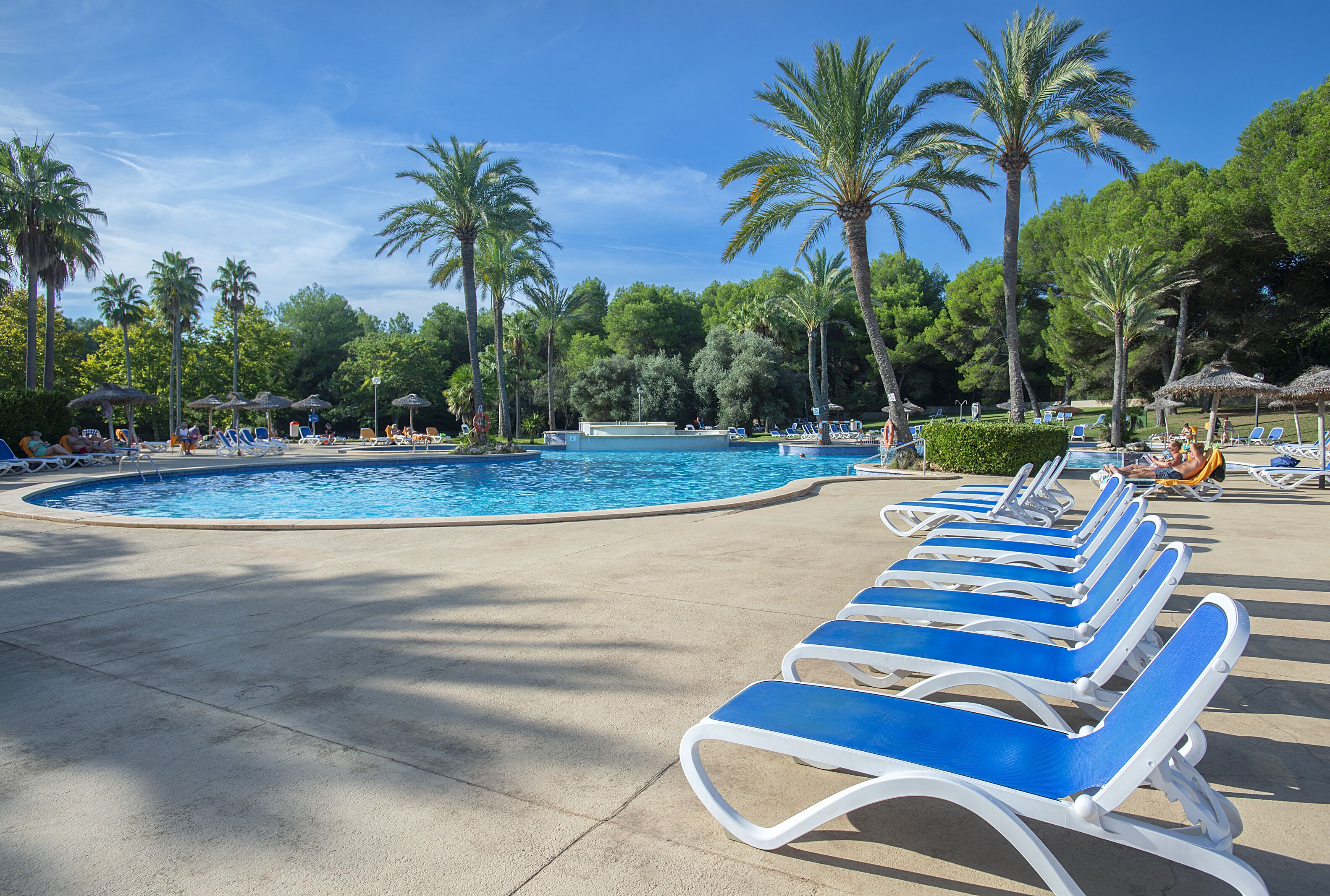 A pool area with lounge chairs and palm trees.