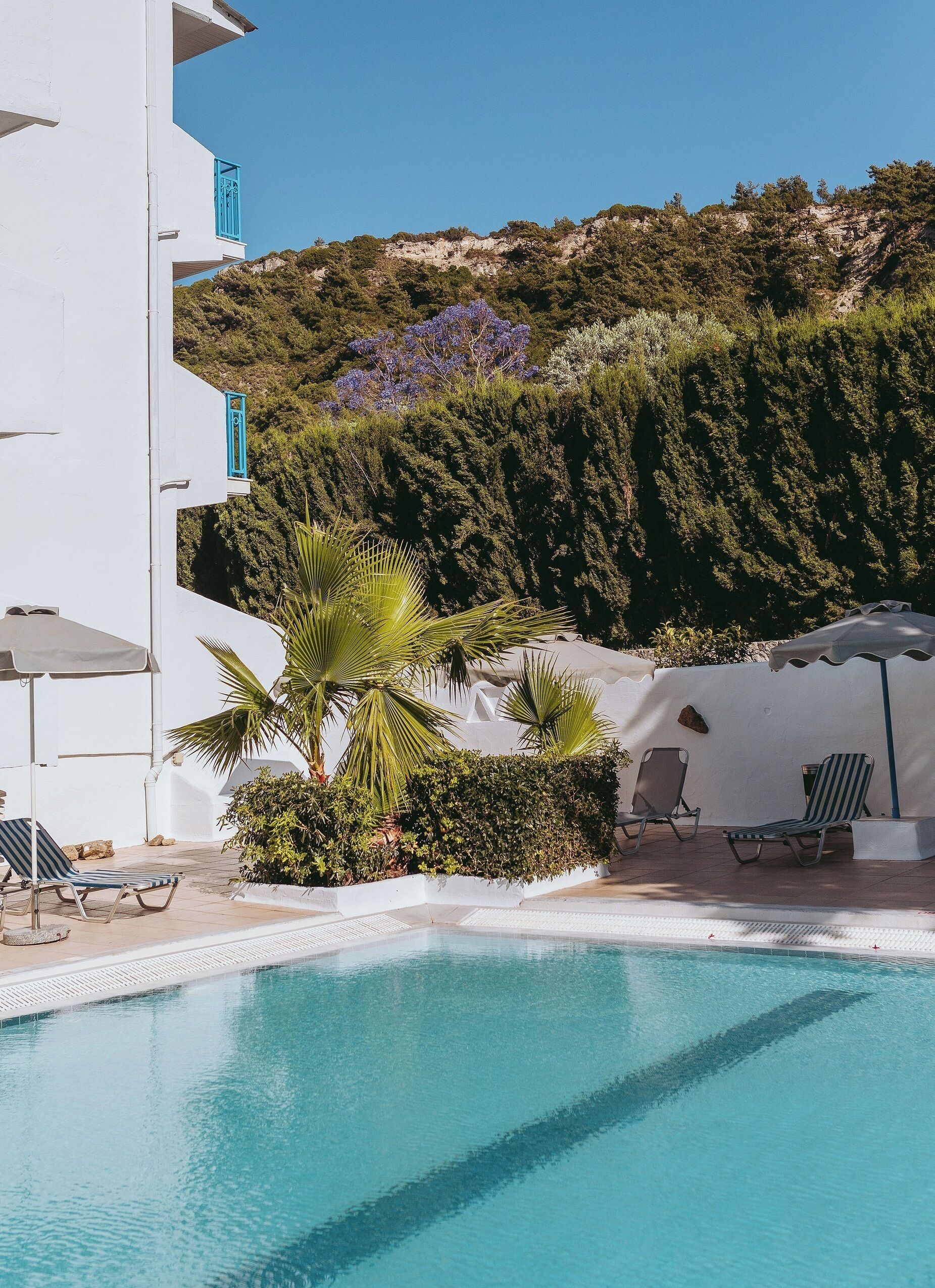 outdoor pool, pool umbrellas, pool loungers