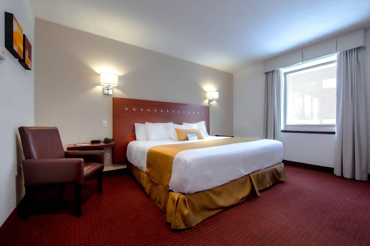 Chambre Standard, 1 très grand lit, non-fumeurs | 1 chambre, couette en duvet d'oie, coffres-forts dans les chambres